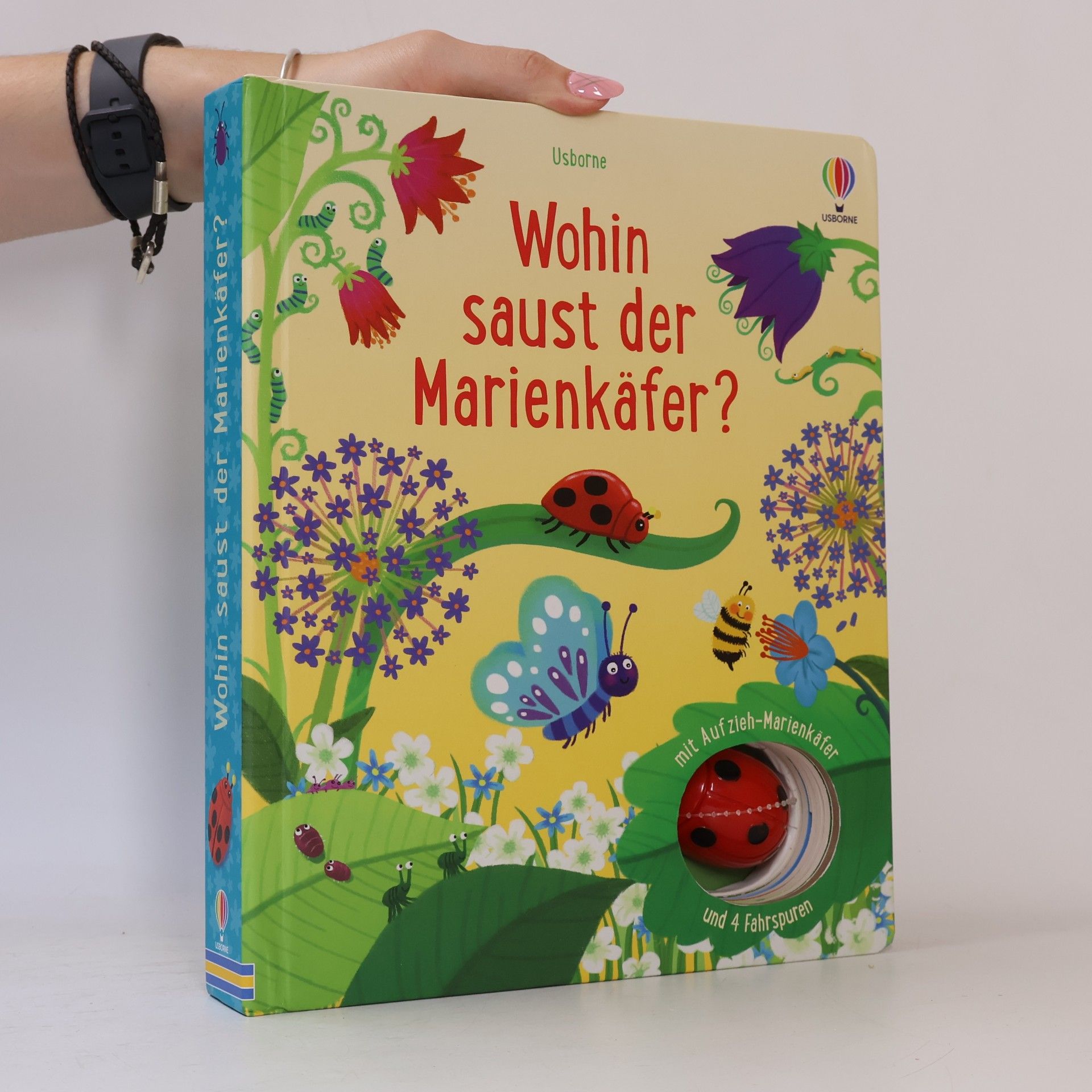 Autorenkollektiv Wohin saust der Marienkäfer?