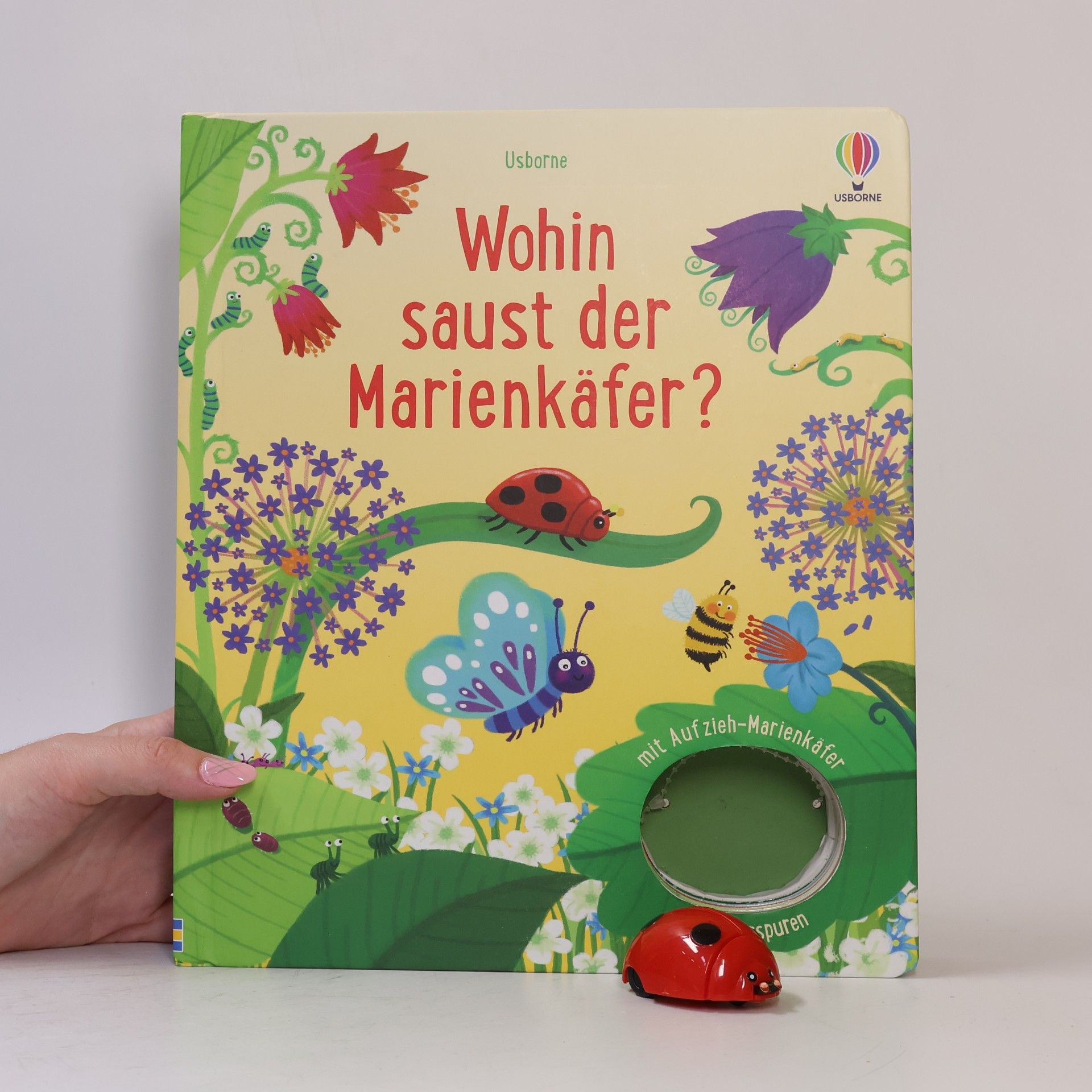 Various authors Wohin saust der Marienkäfer?