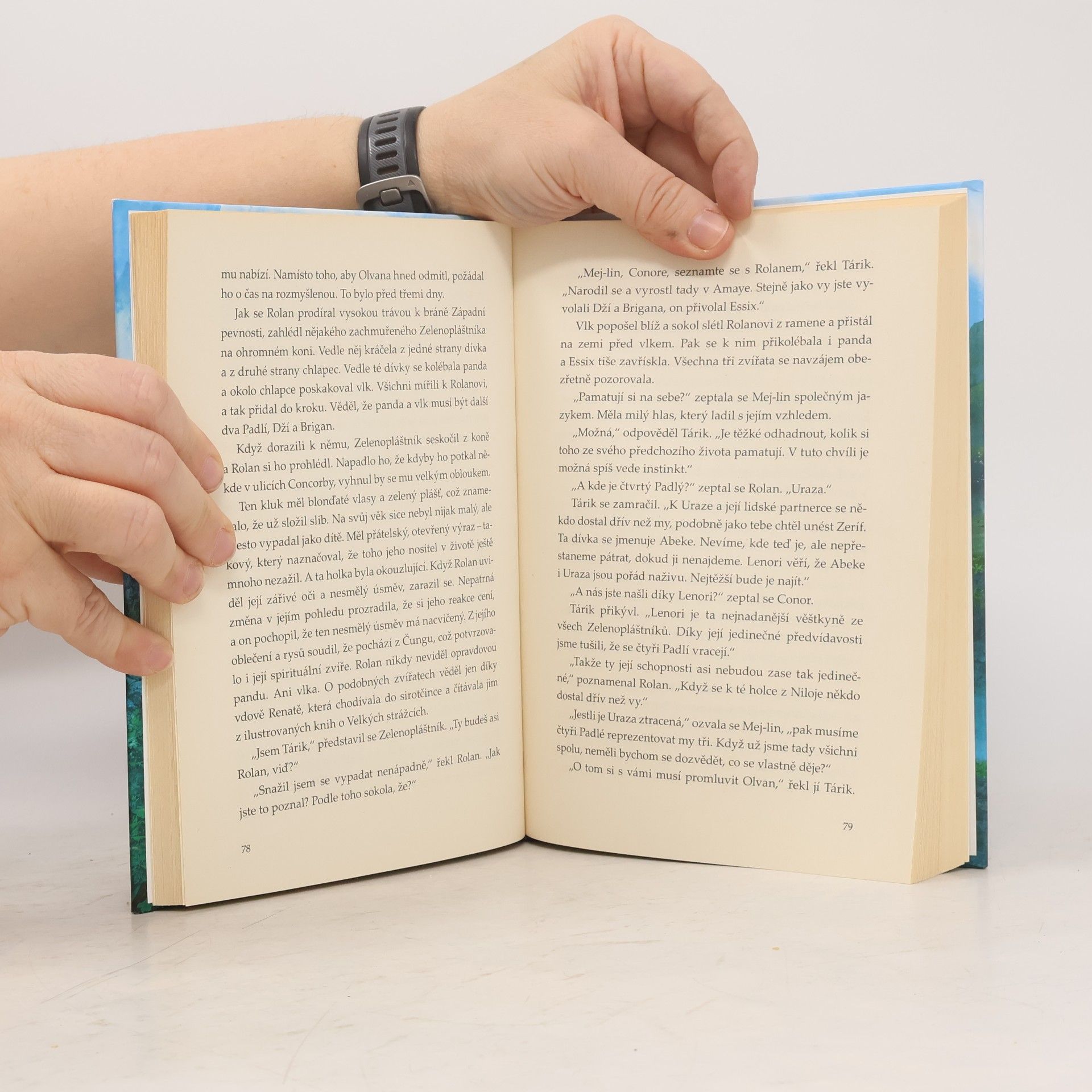 Brandon Mull Zrození hrdinů