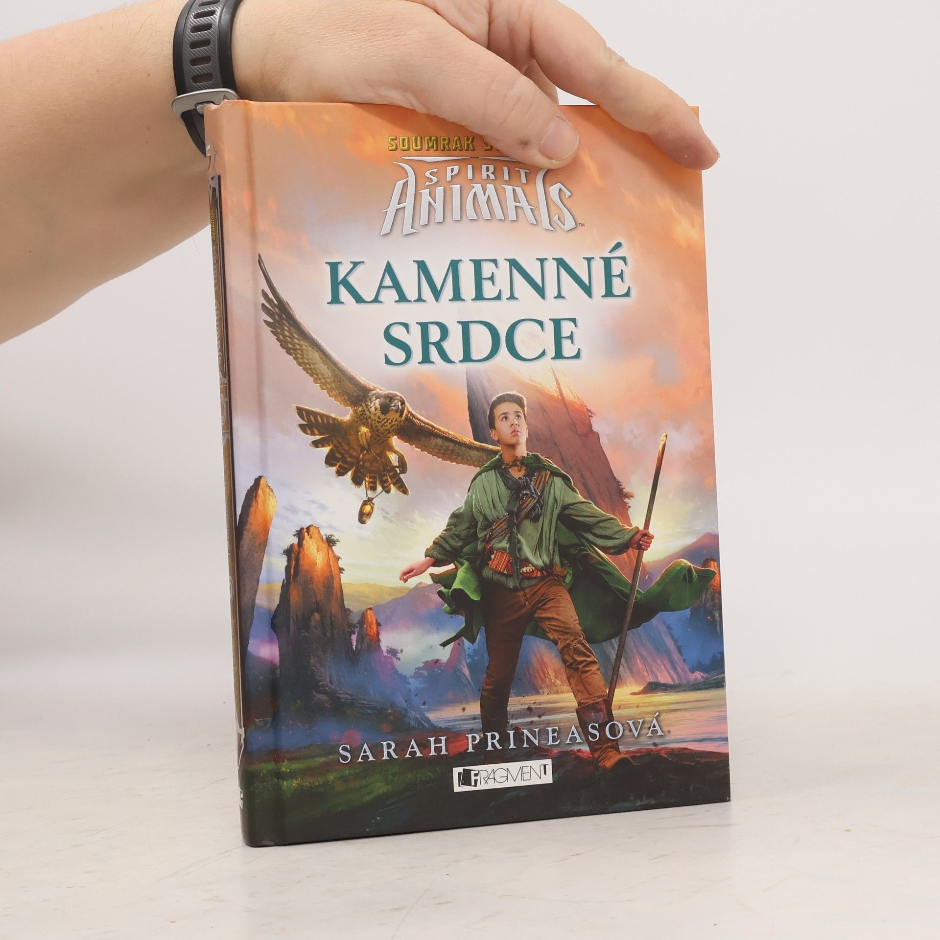 Sarah Prineas Kamenné srdce