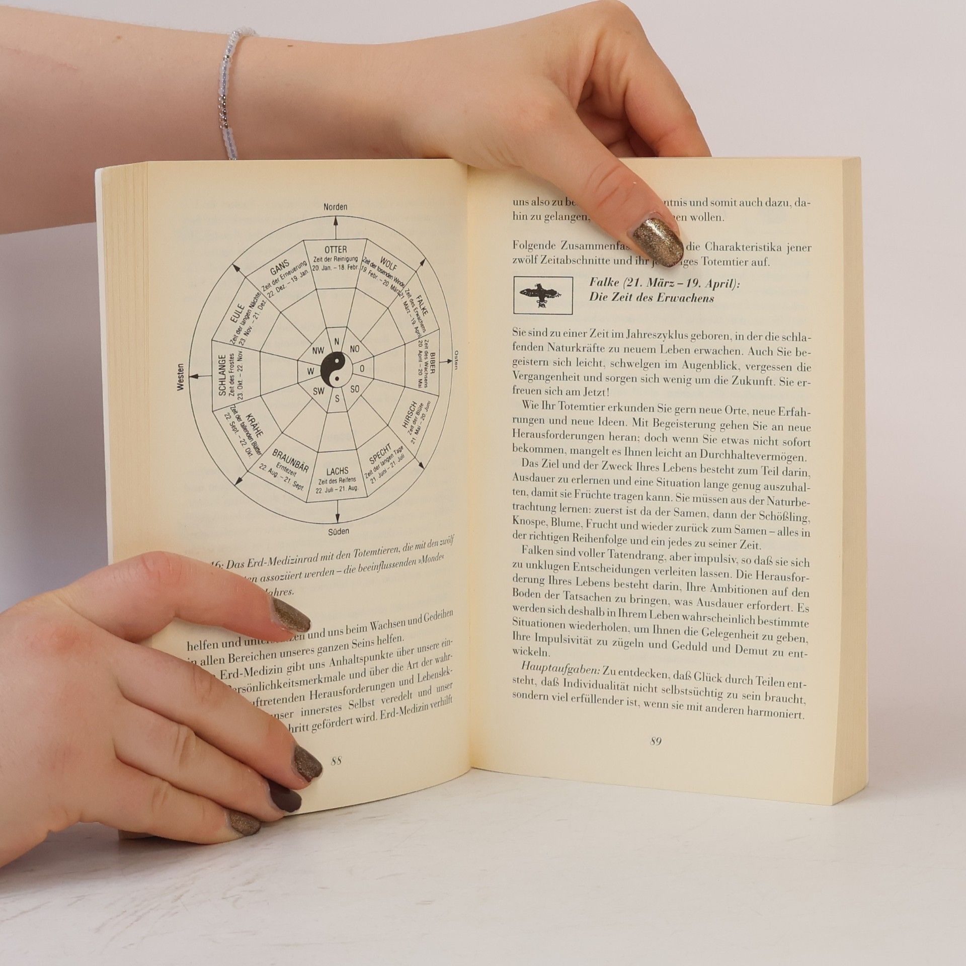 Kenneth Meadows Das Buch des Schamanismus