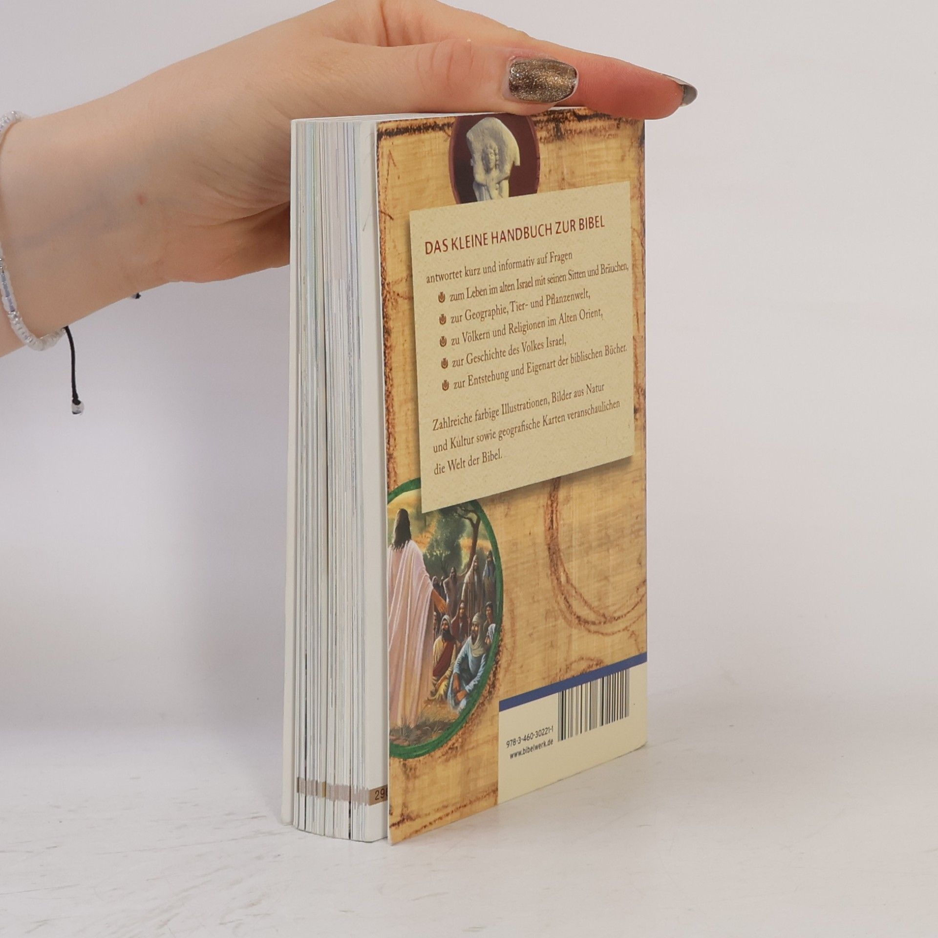 Karin Jeromin Das kleine Handbuch zur Bibel