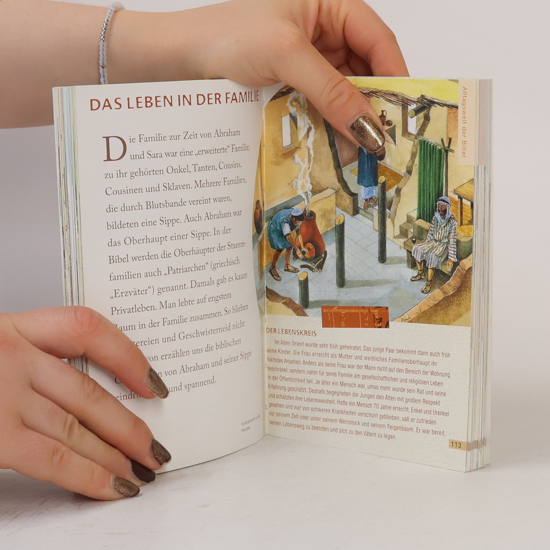 Karin Jeromin Das kleine Handbuch zur Bibel