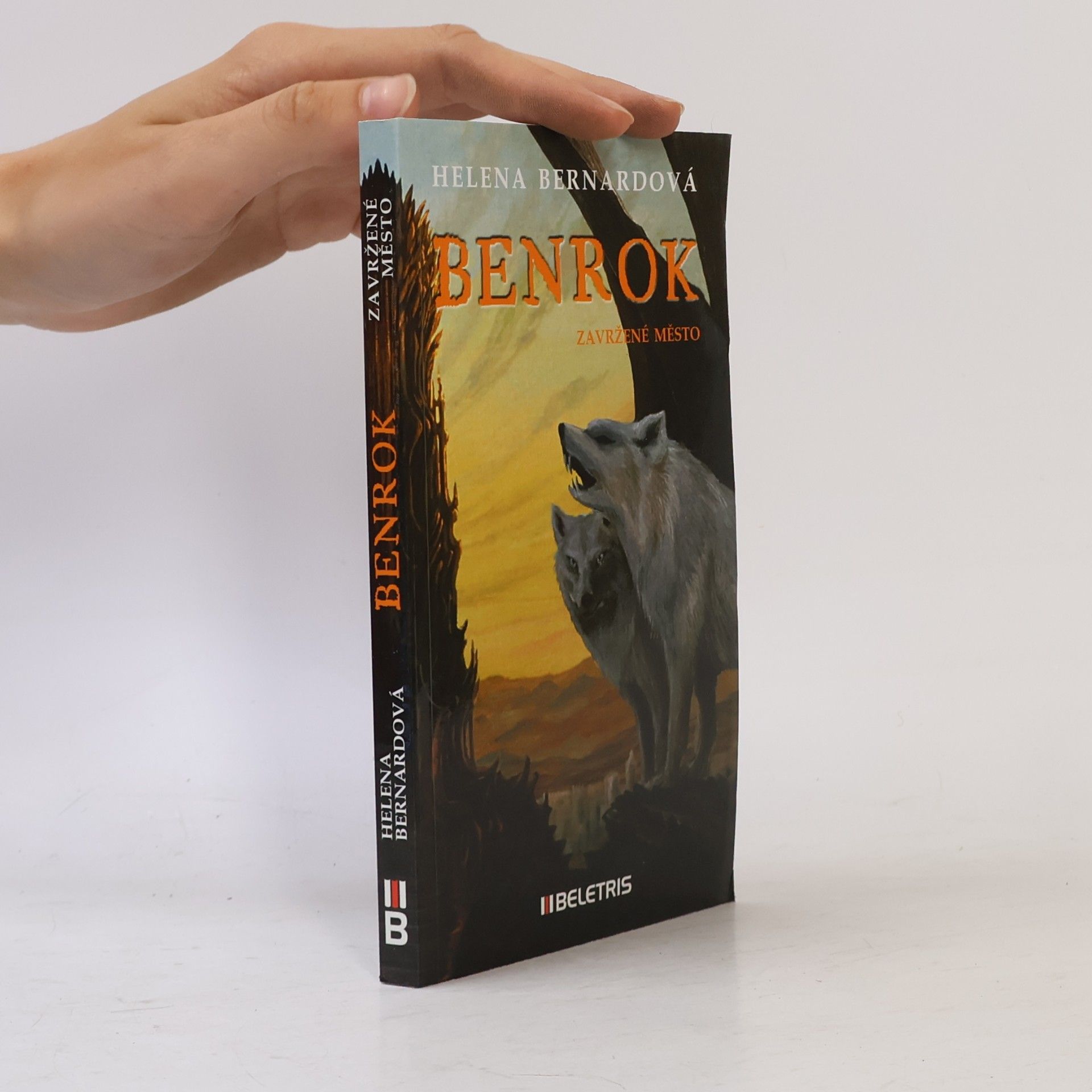 Helena Bernardová Benrok - Zavržené město