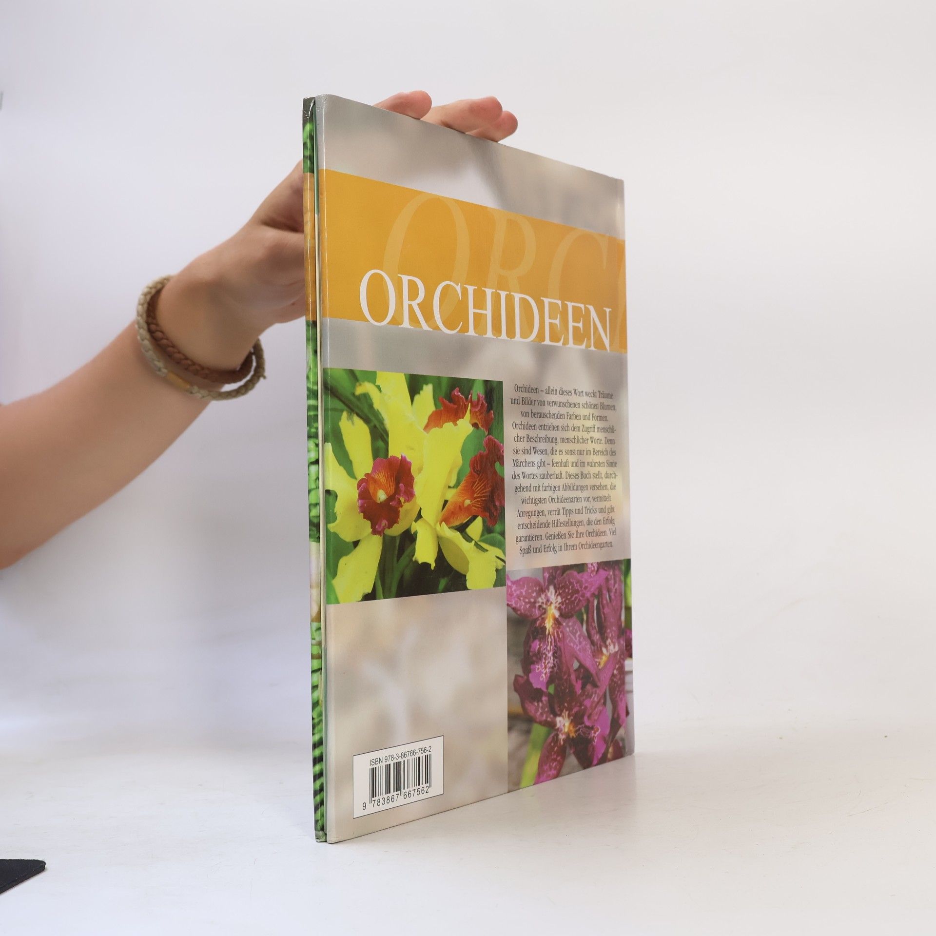 Kolektiv autorů Orchideen