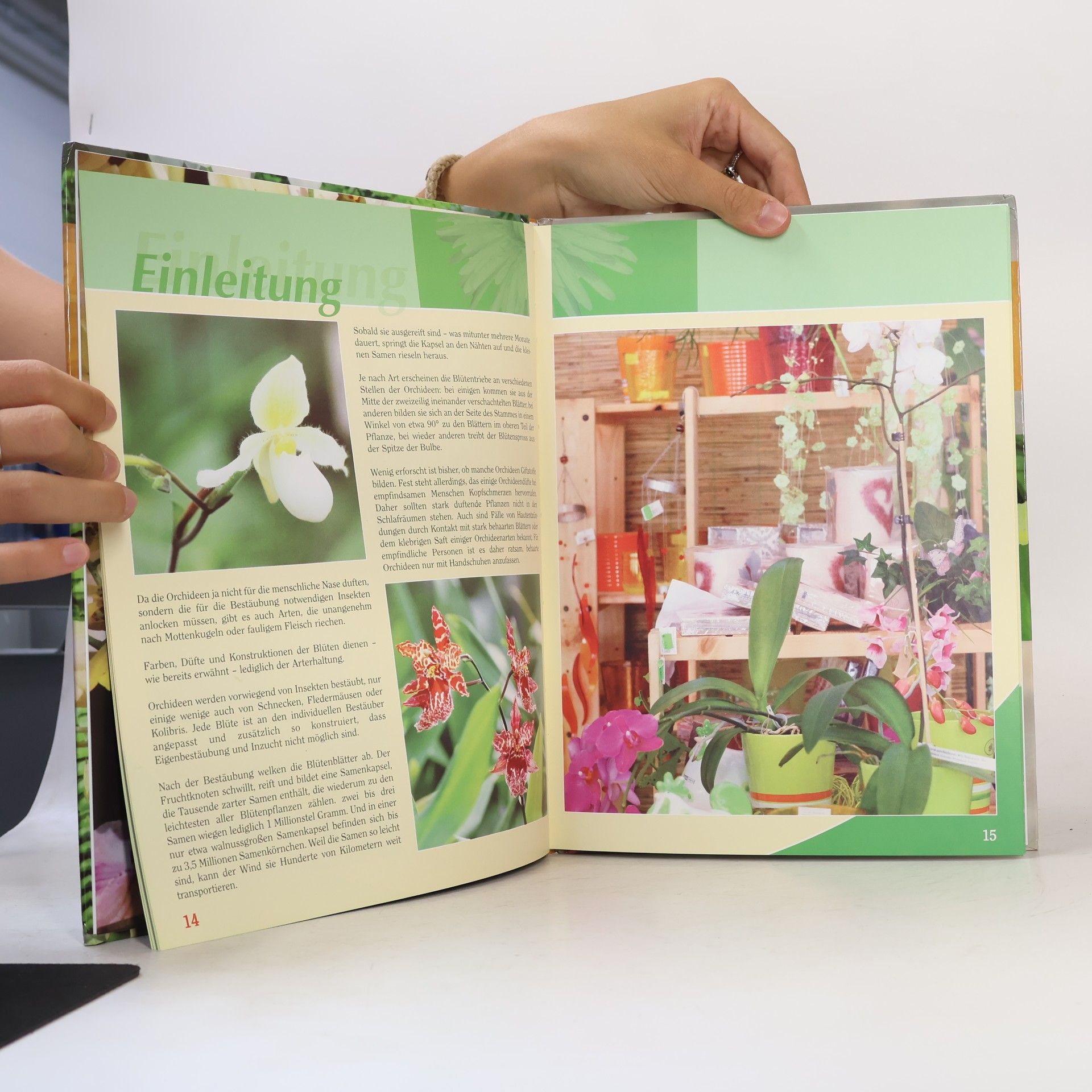 Kolektiv autorů Orchideen