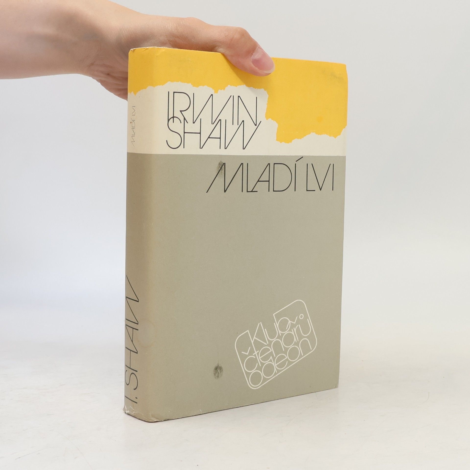 Irwin Shaw Mladí lvi