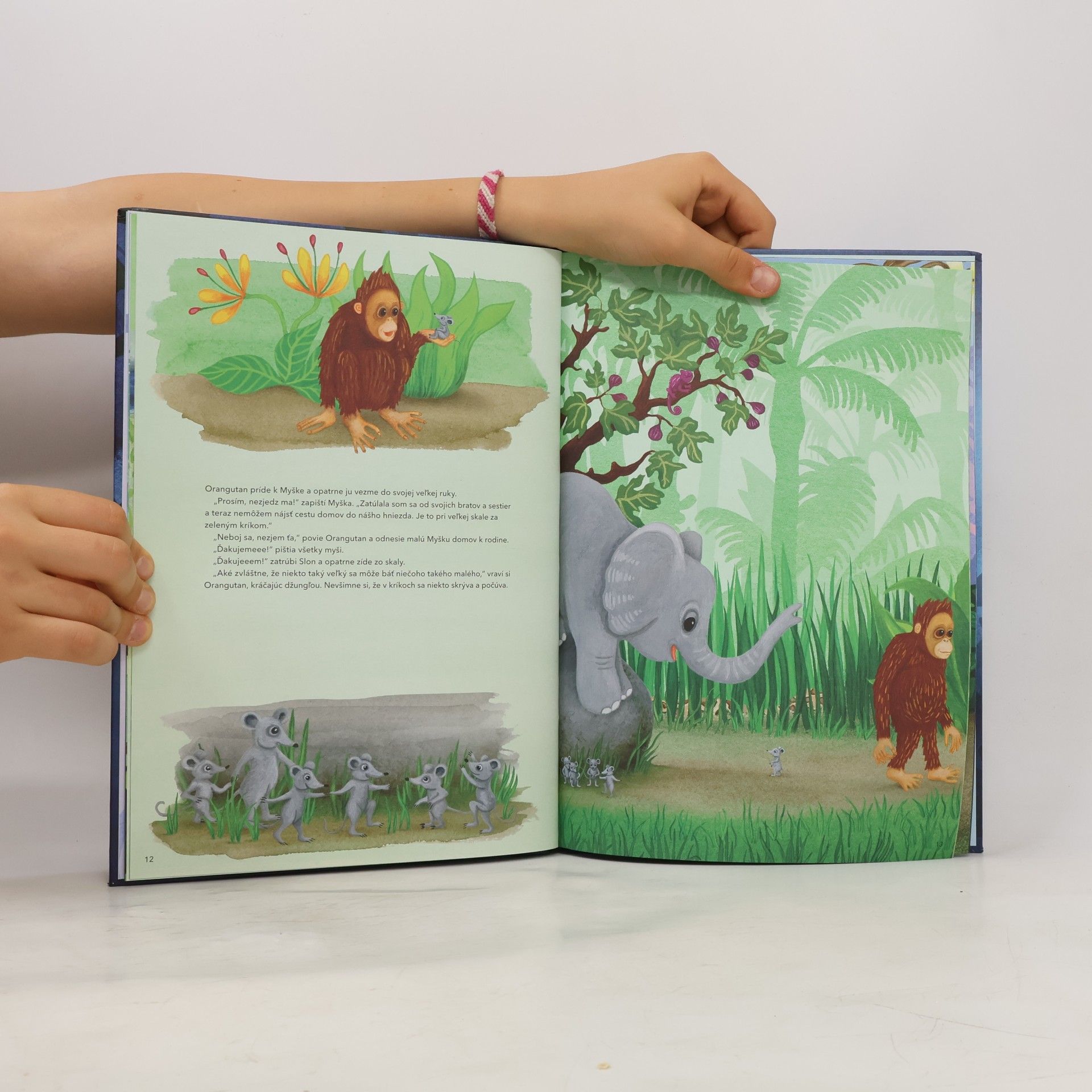 Sophie Holmqvist Bojazlivý orangutan