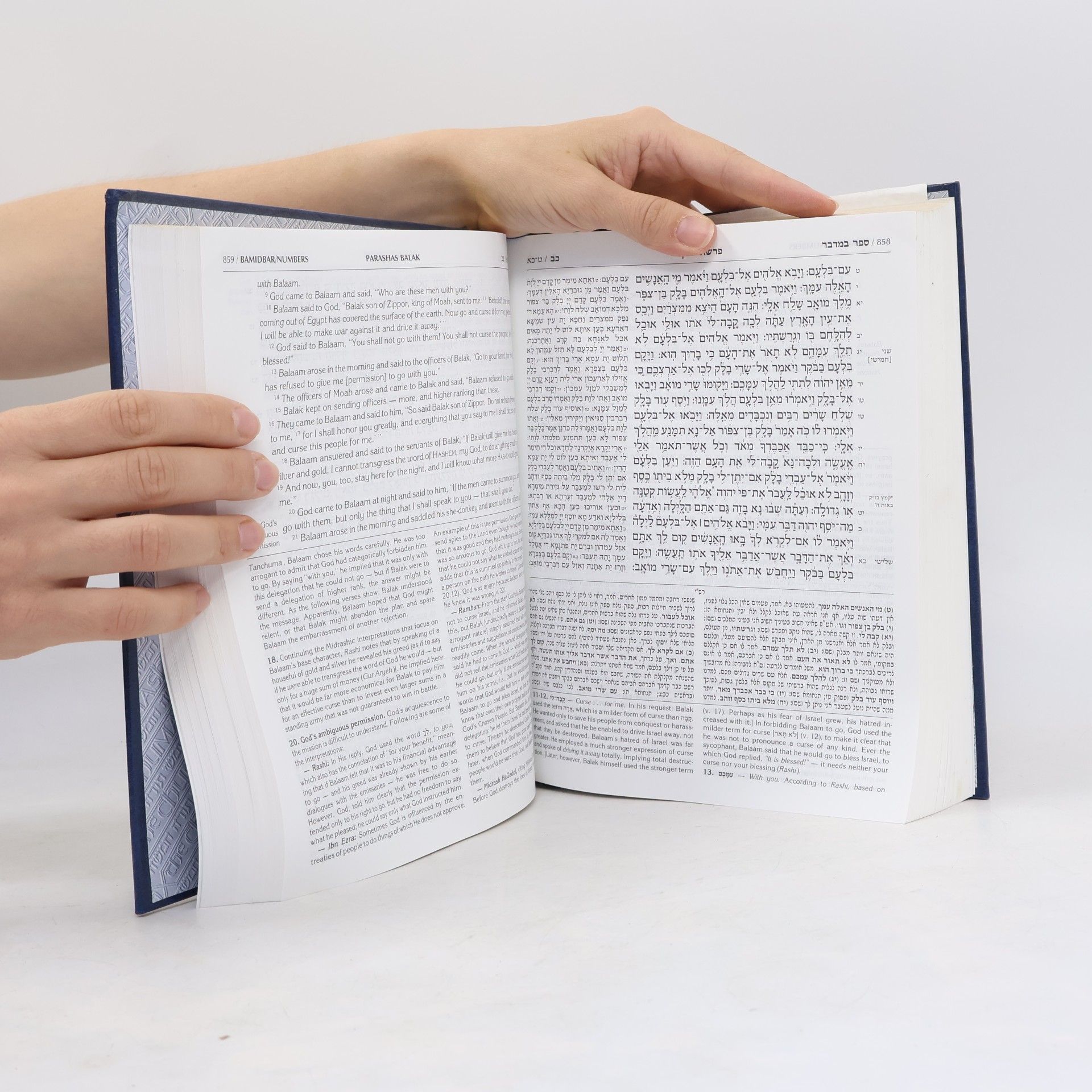 Rabbi Nosson Scherman The Stone Edition: The Chumash / חמשה חומשי תורה