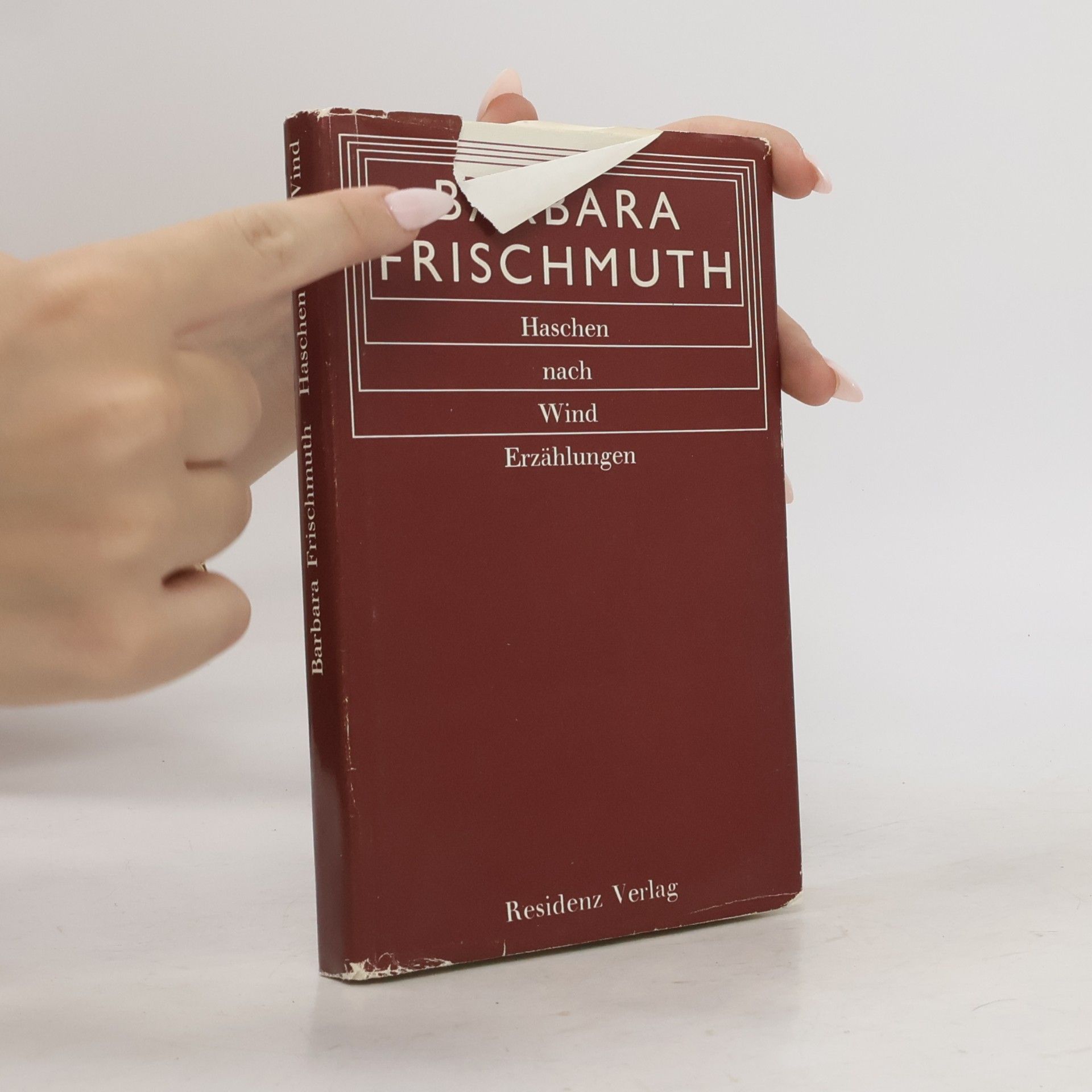 Barbara Frischmuth Haschen nach Wind