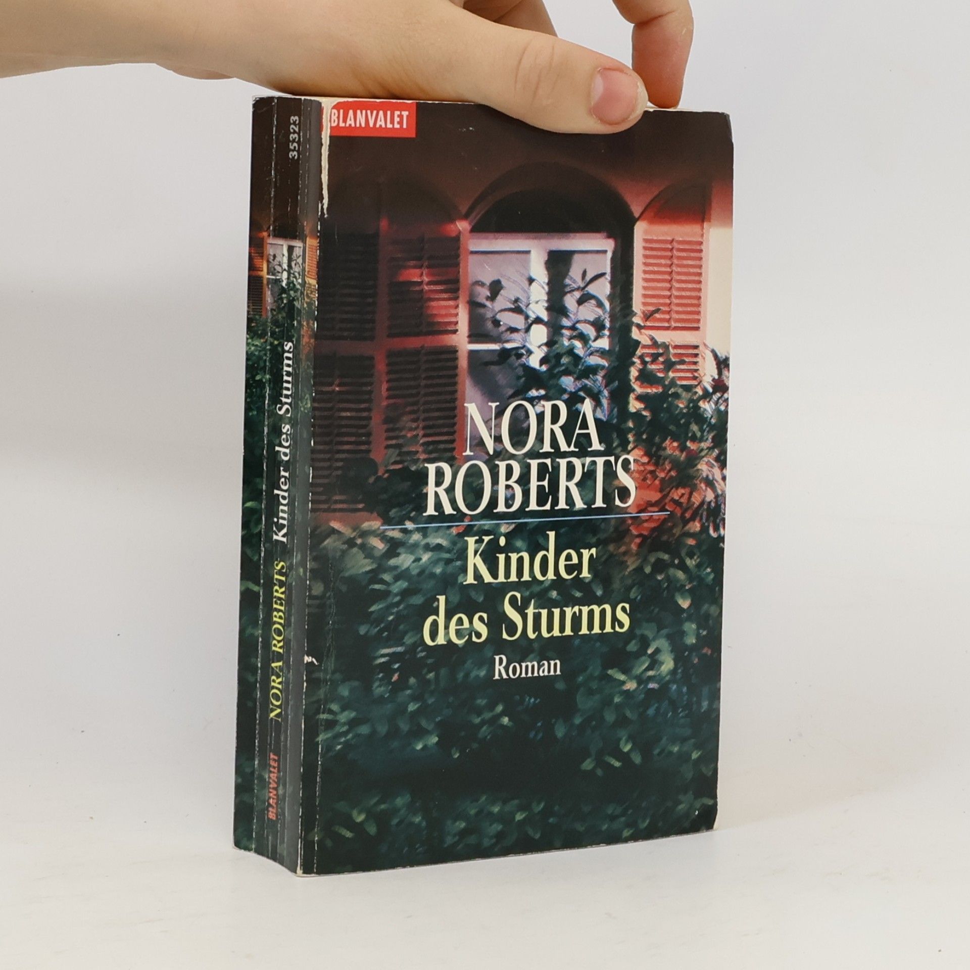 Nora Roberts Kinder des Sturms