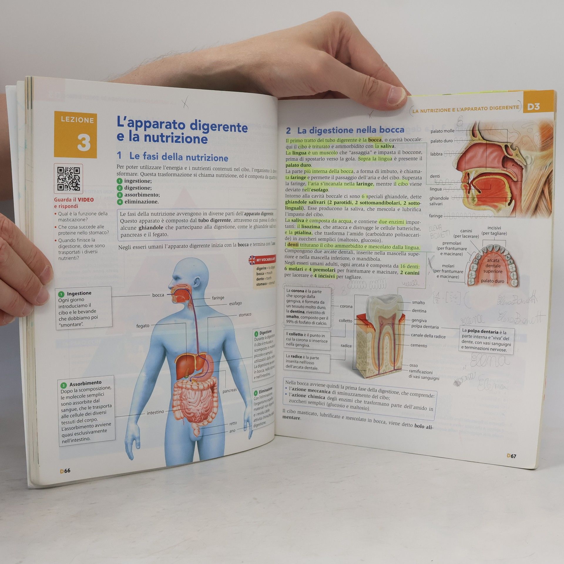 Stefano Zanoli Intorno a te. Capire e vedere la scienza D. Corpo umano