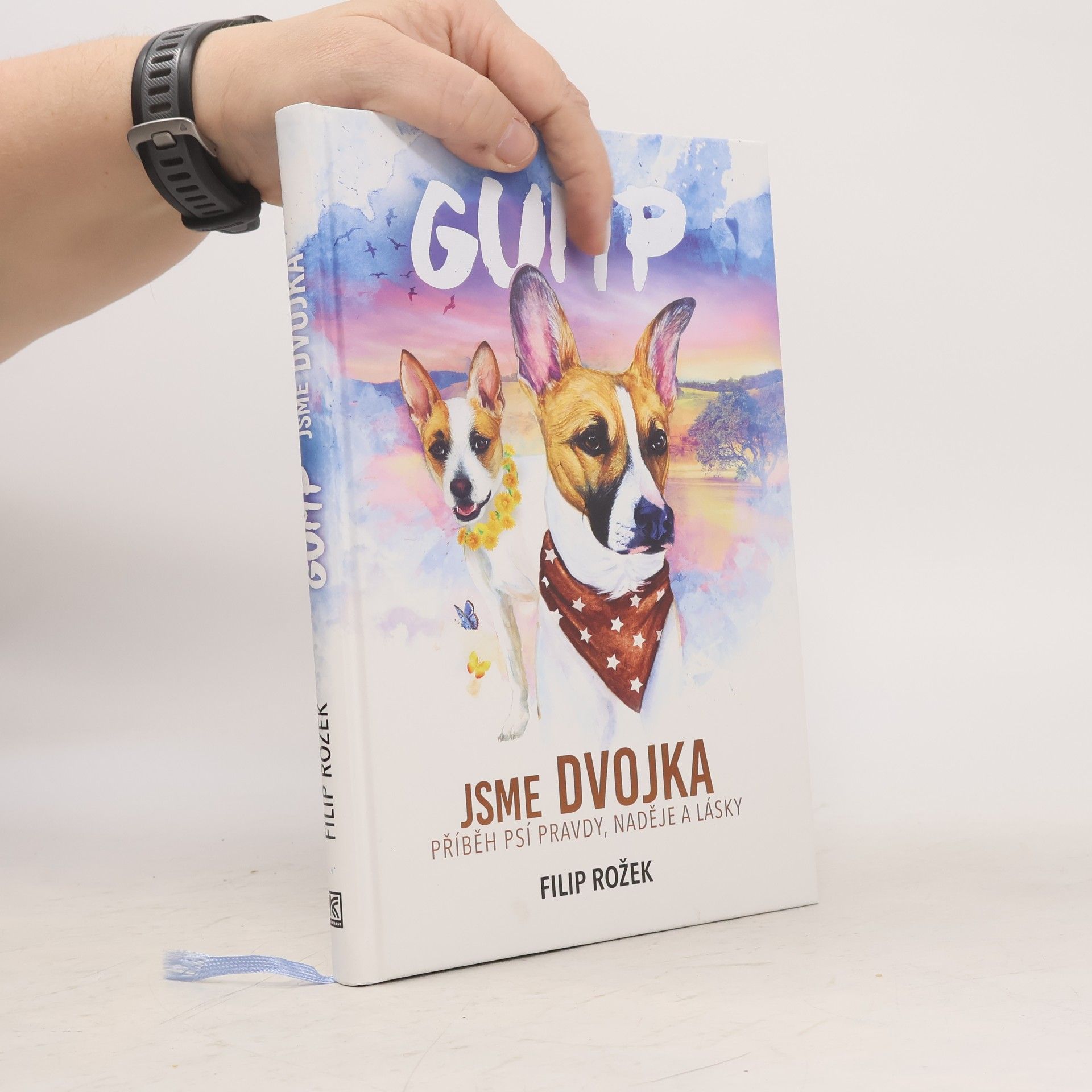 Filip Rožek Gump jsme dvojka: Příběh psí pravdy, naděje a lásky