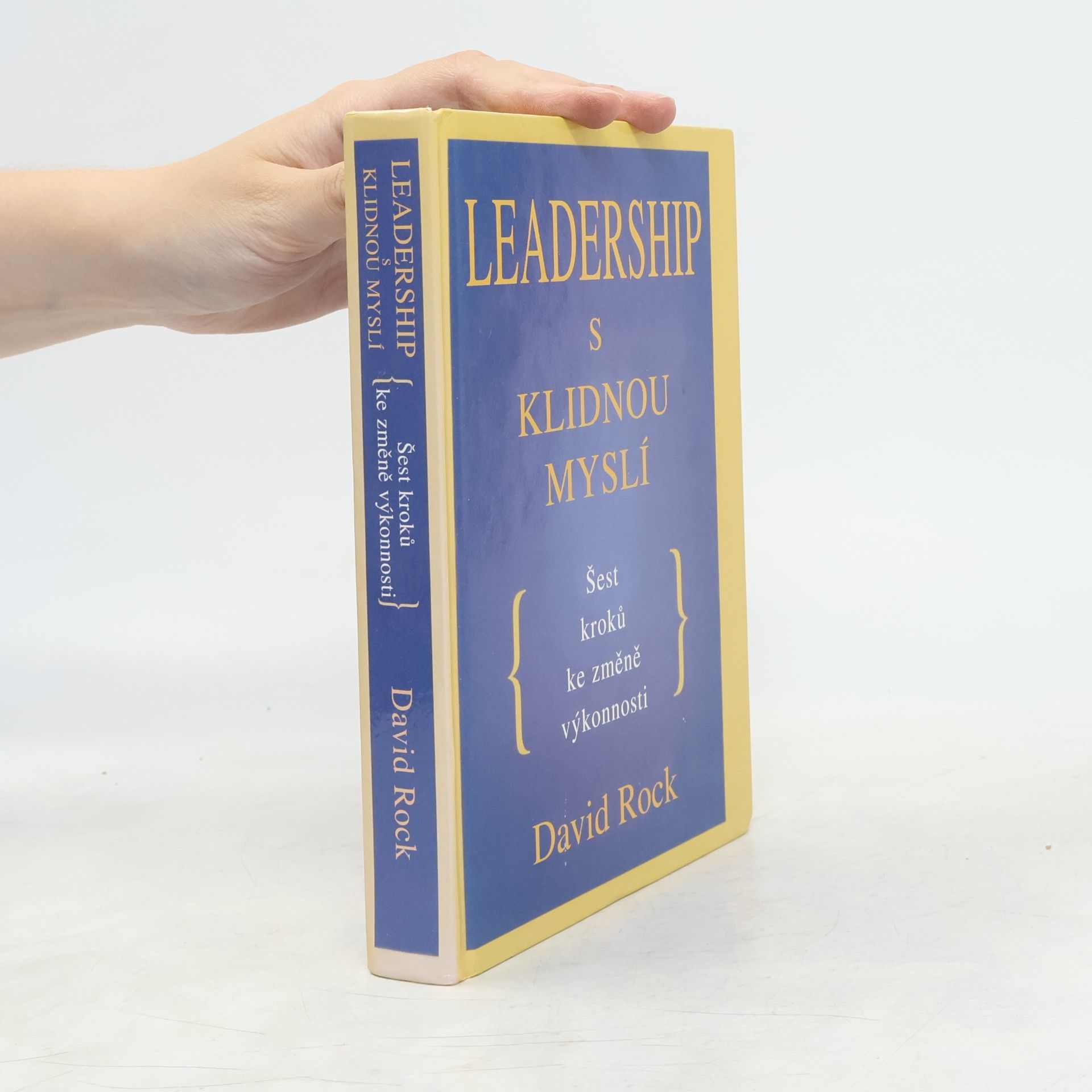 David Rock Leadership s klidnou myslí