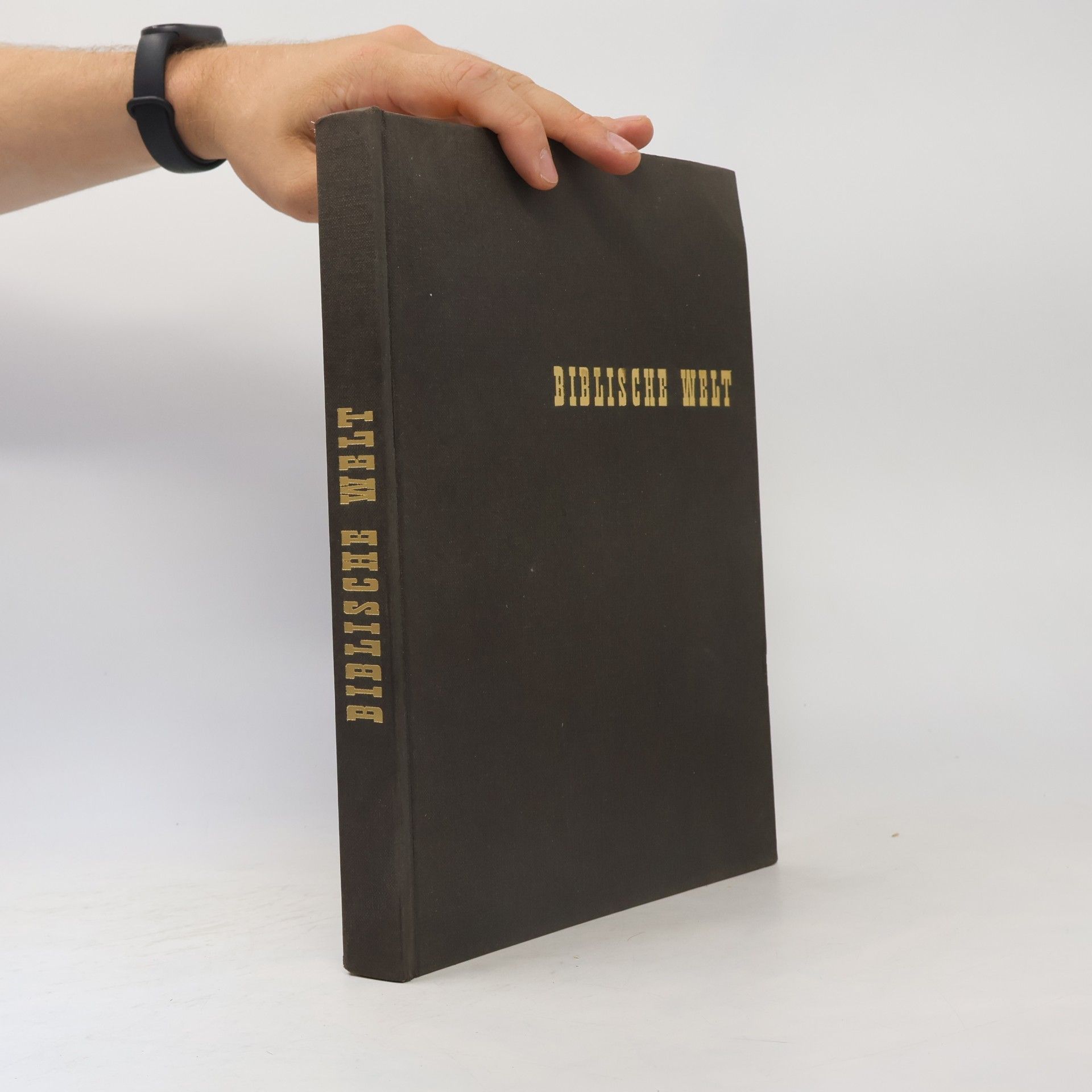 Hans Wildberger Biblische Welt