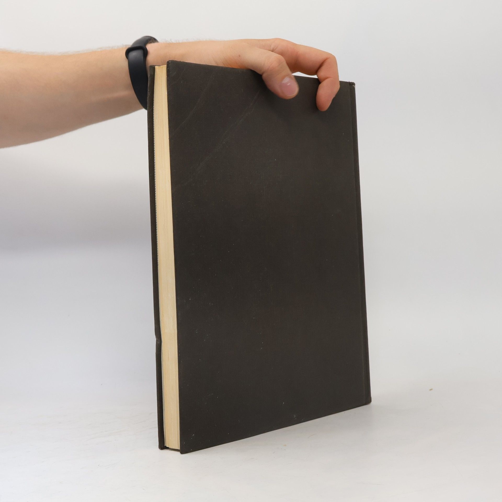 Hans Wildberger Biblische Welt