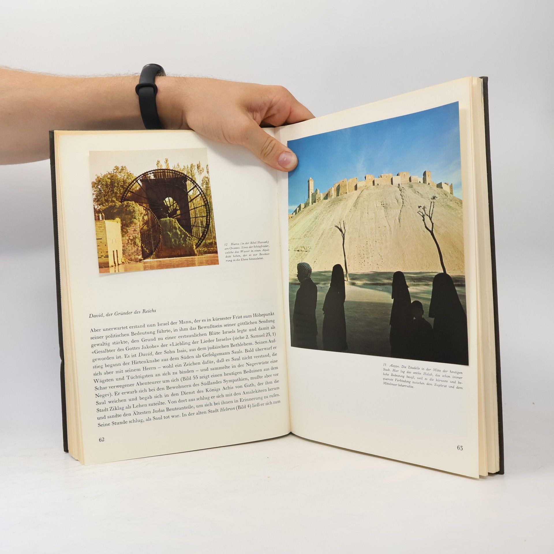 Hans Wildberger Biblische Welt