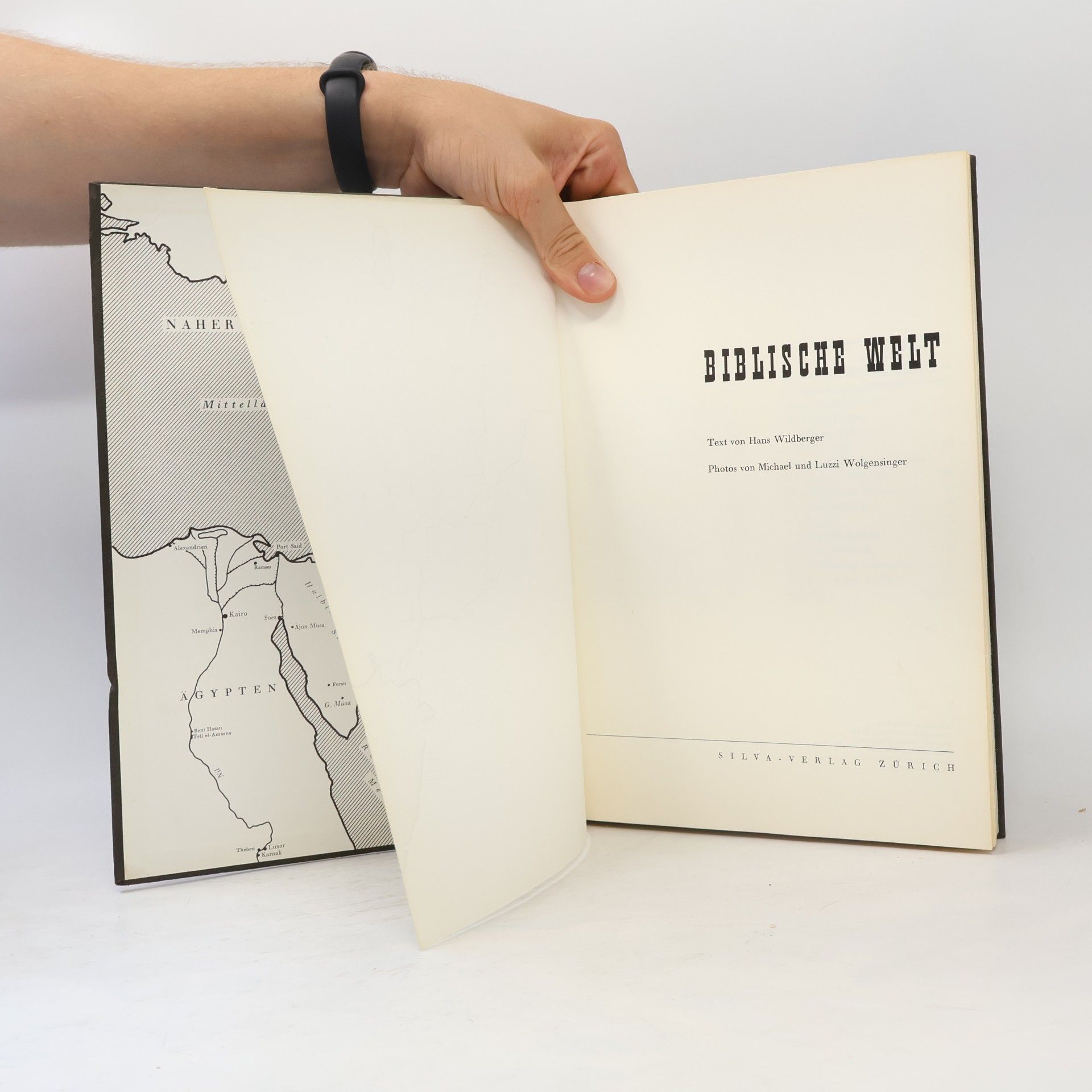 Hans Wildberger Biblische Welt