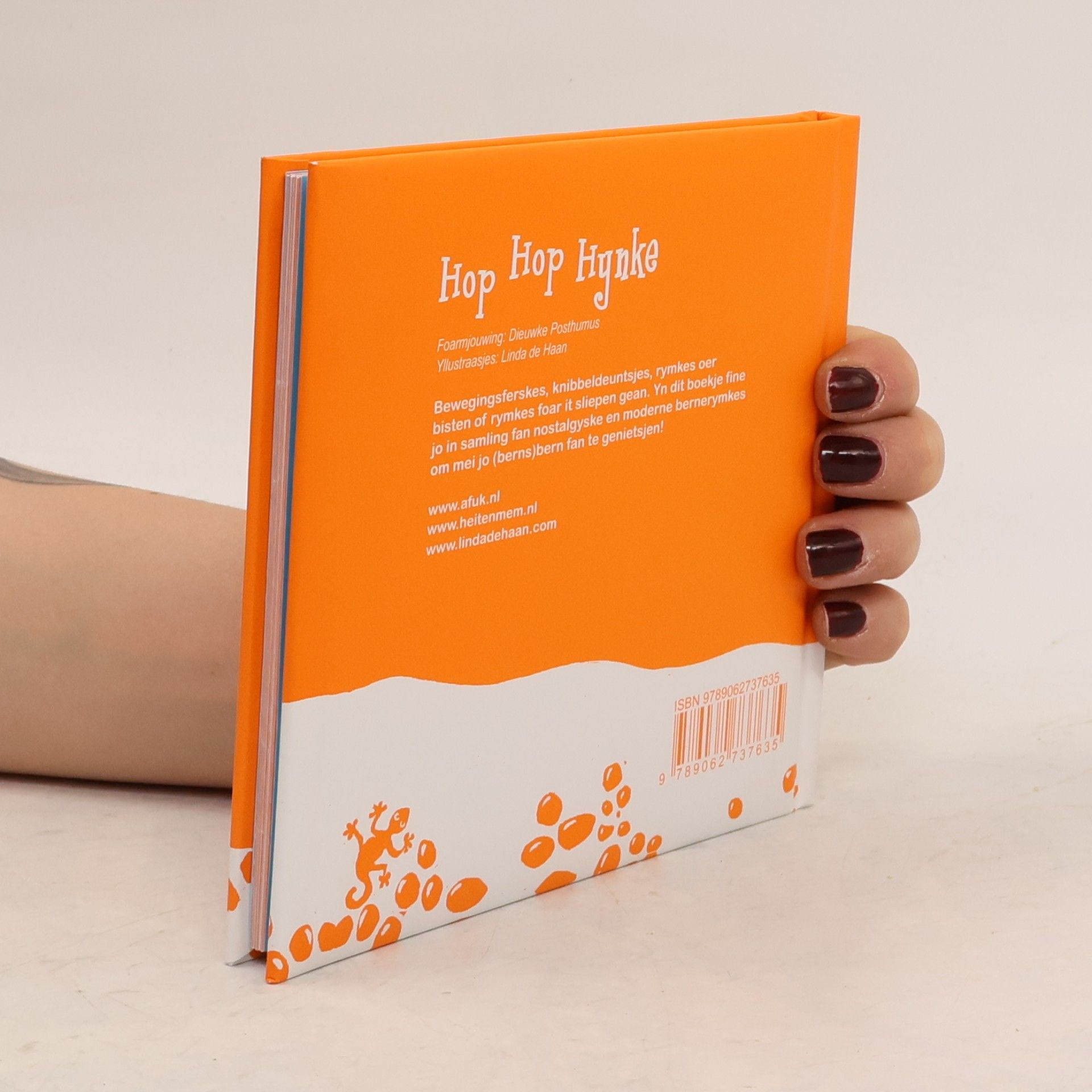 Dieuwke van der Meer-Posthumus Hop hop hynke / druk 1