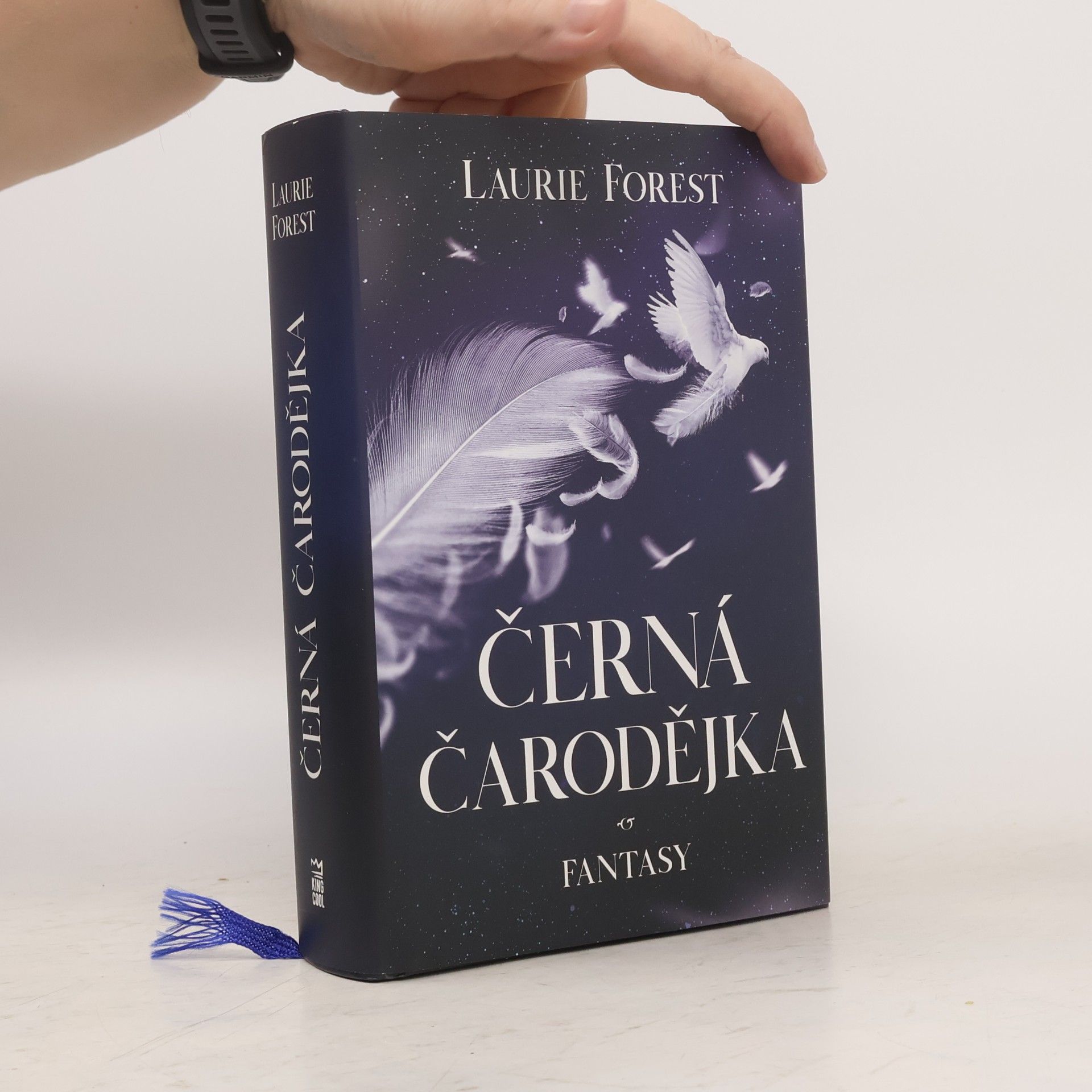 Laurie Forest Černá čarodějka
