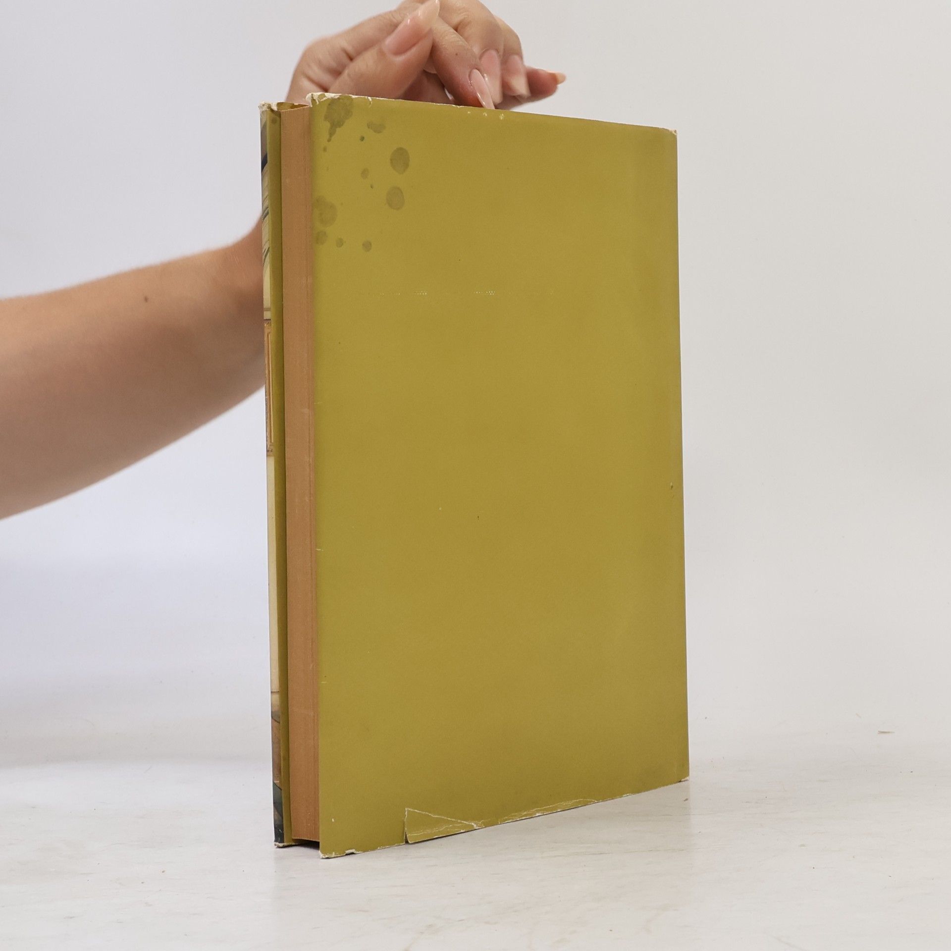 Herbert Greiner-Mai Kleines Wörterbuch der Weltliteratur