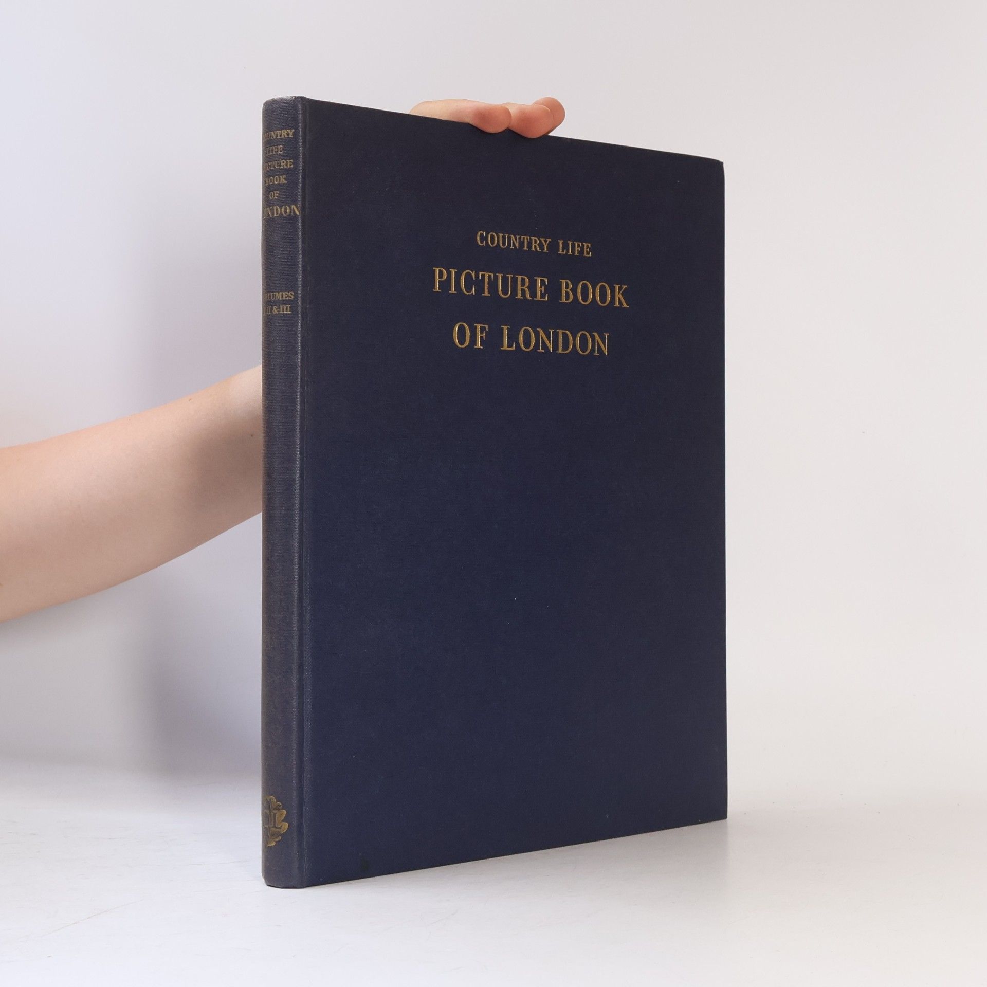 Raymond Birt Picture Book of London