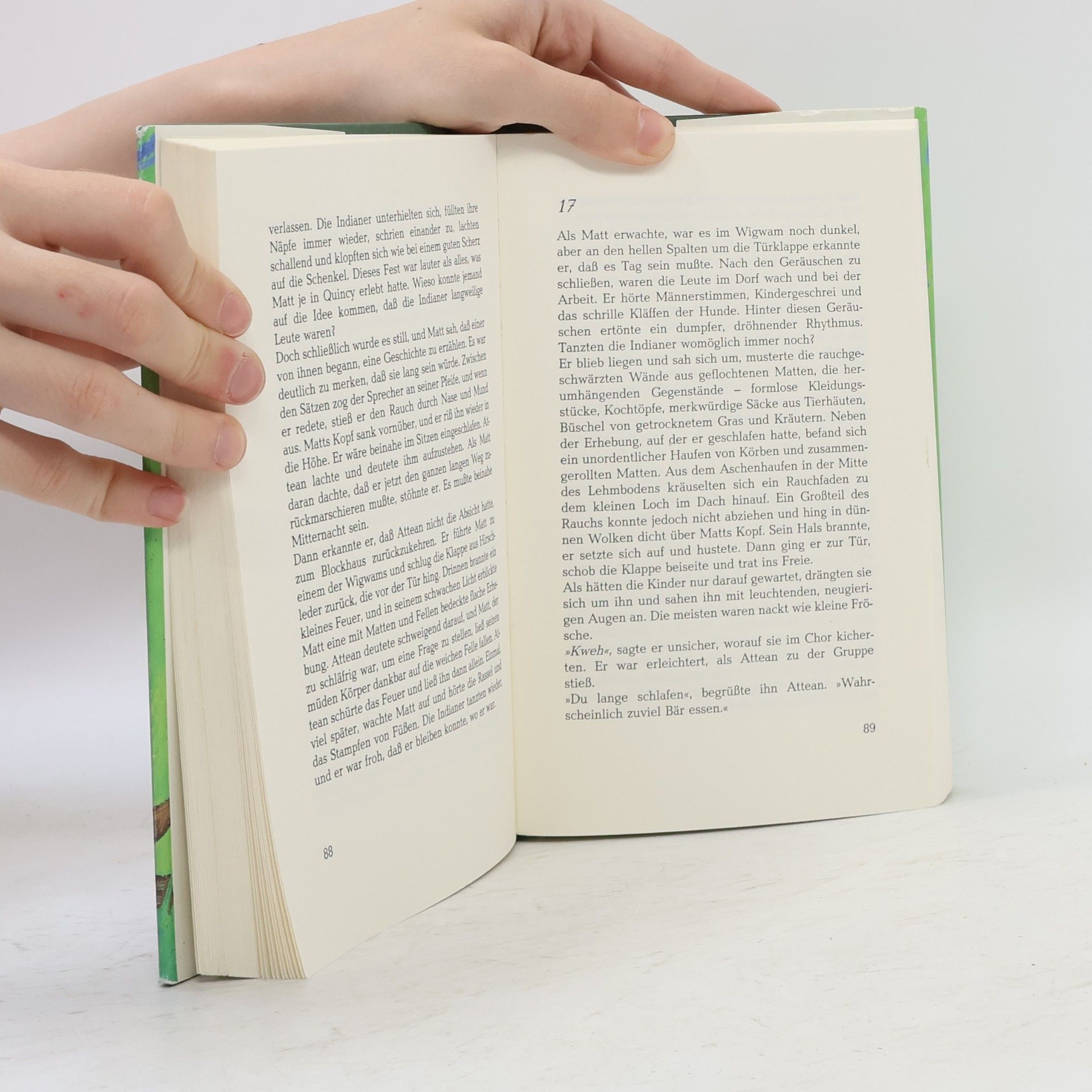 Elizabeth George Speare Im Zeichen des Bibers