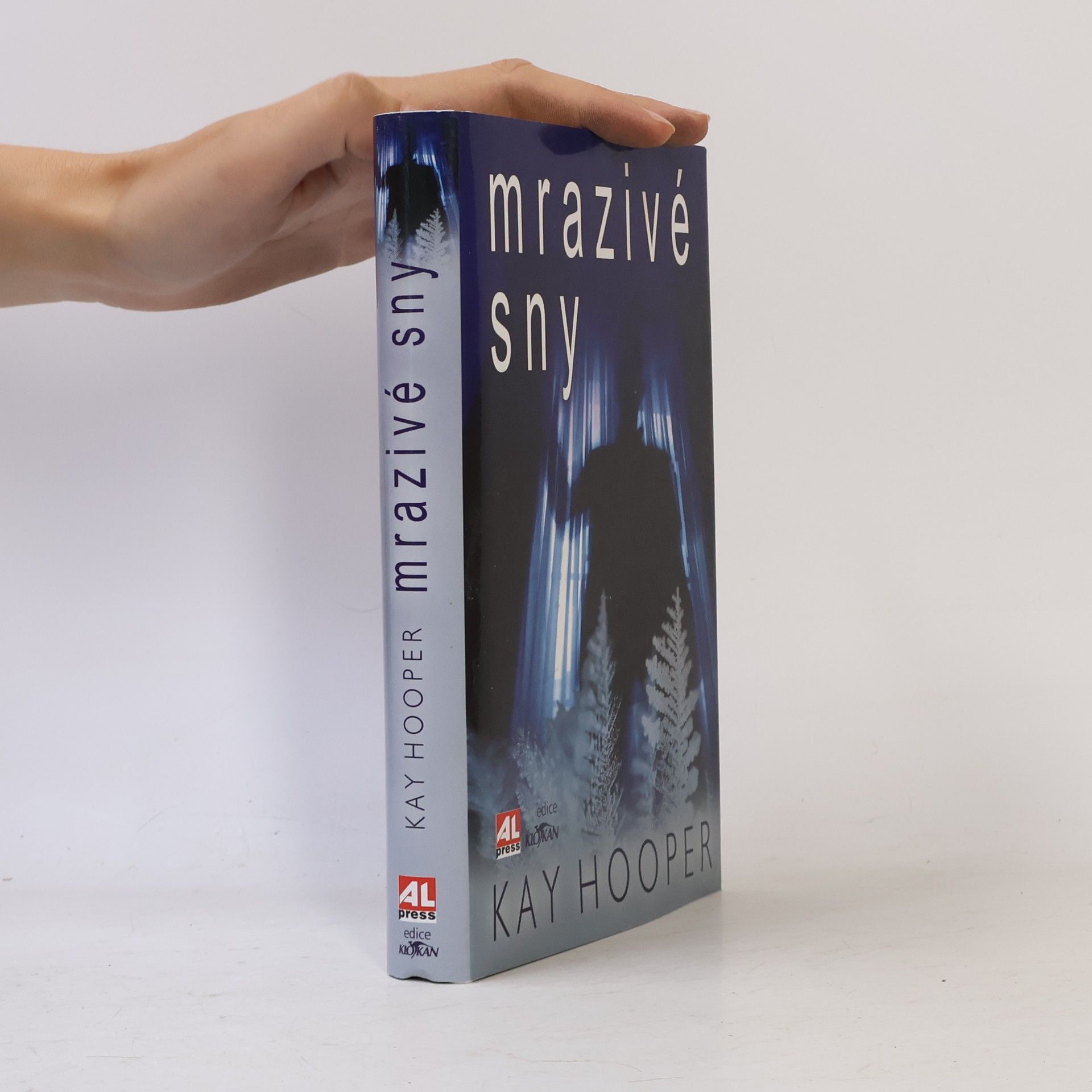Kay Hooper Mrazivé sny