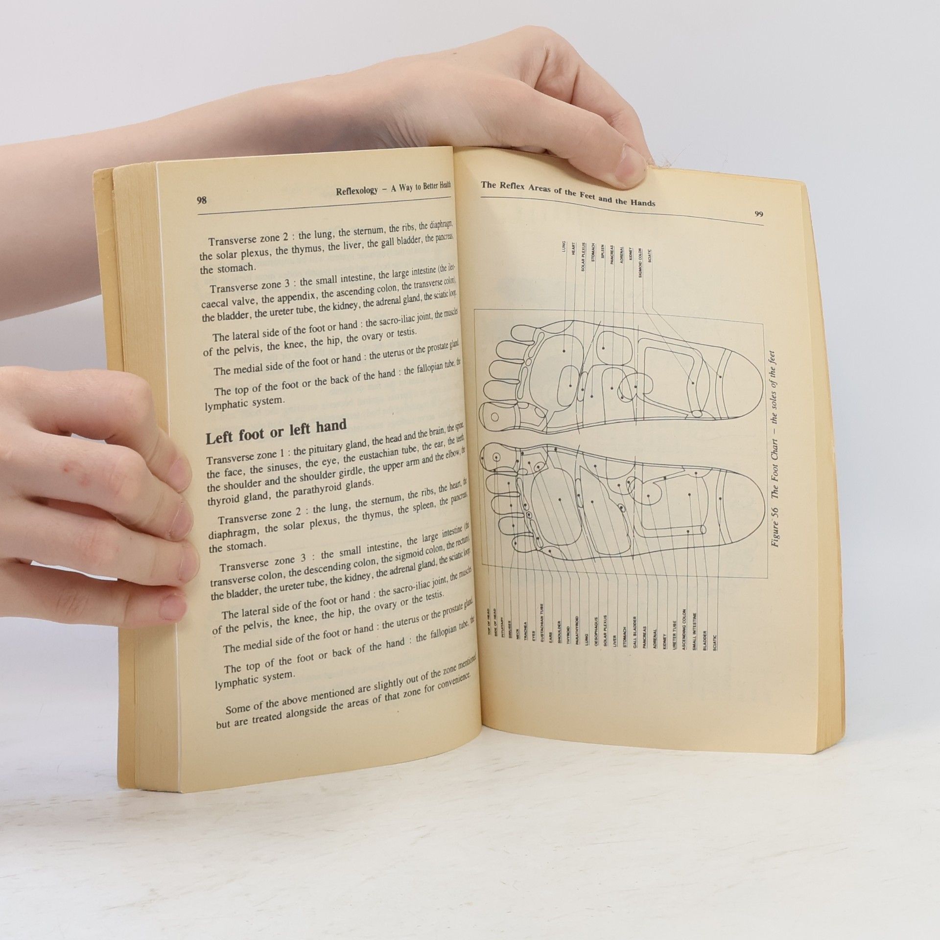 Nicola M. Hall Reflexology - A Way to Better Health