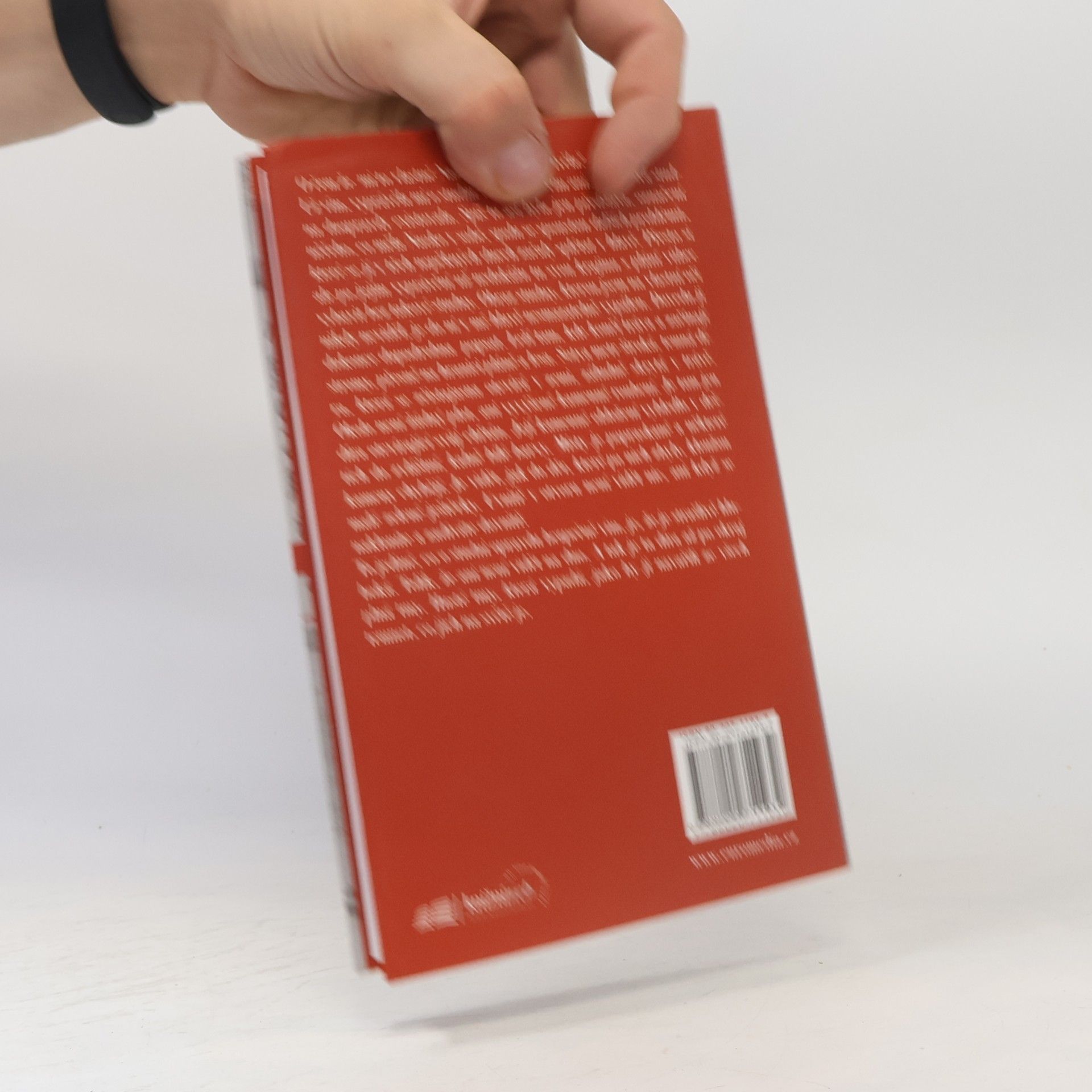 Haruki Murakami Norské dřevo