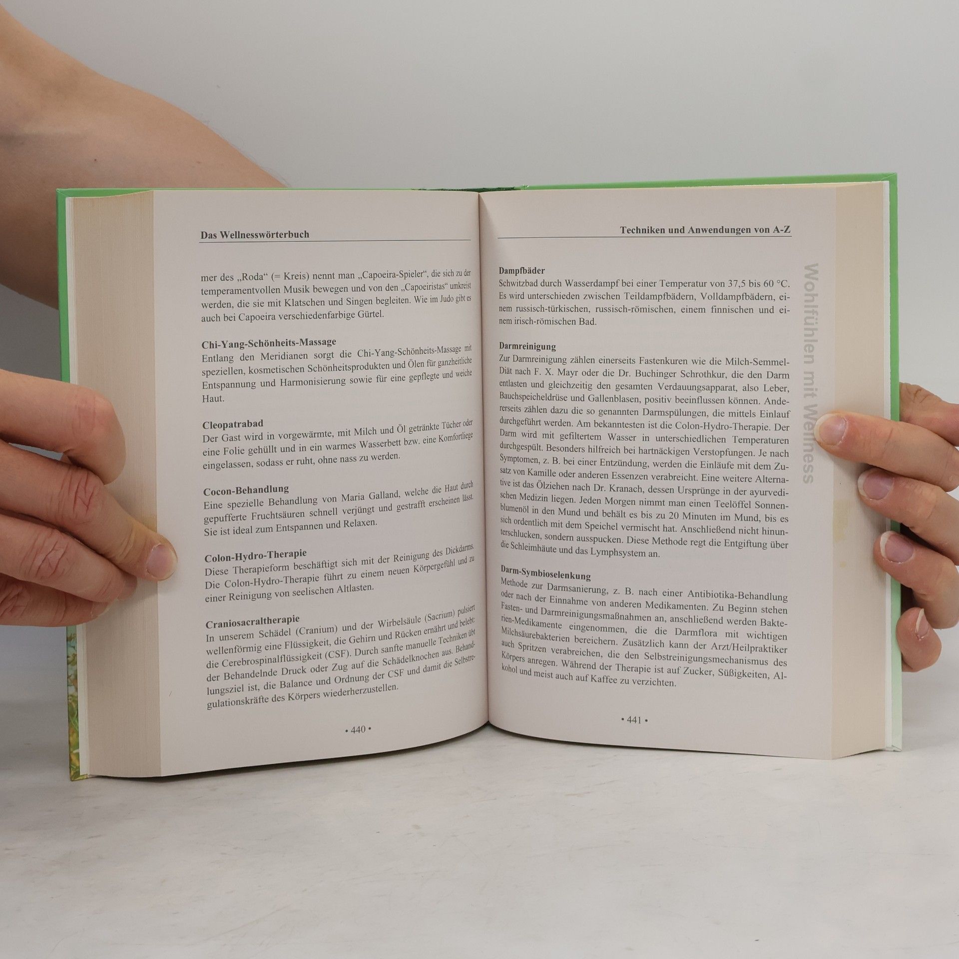 Autores varios Natürlich gesund mit Hausmitteln und Wellness