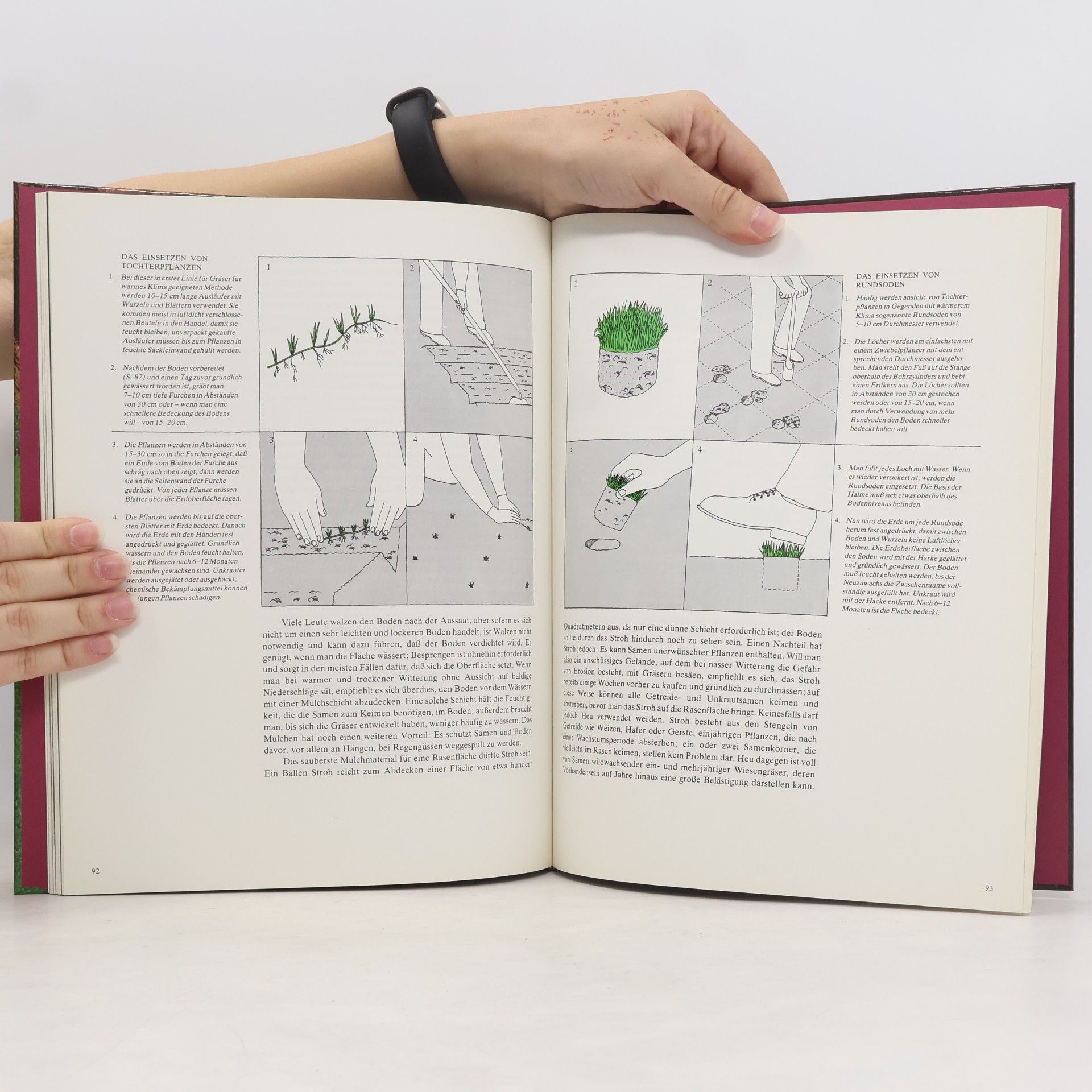 Autorenkollektiv Rasen und Bodenbedecker