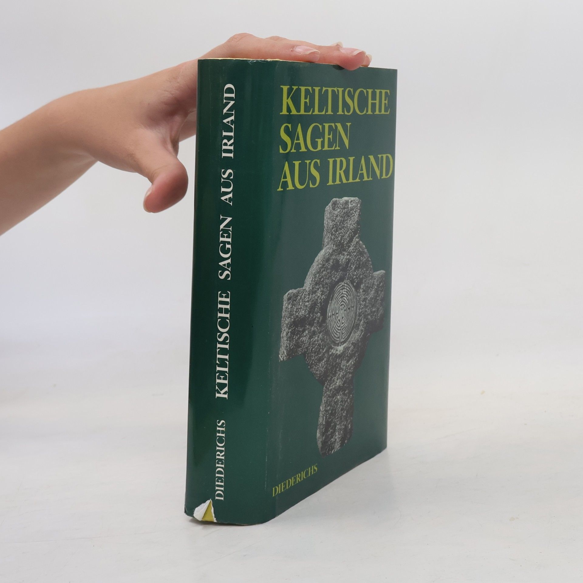 Keltische Sagen aus Irland