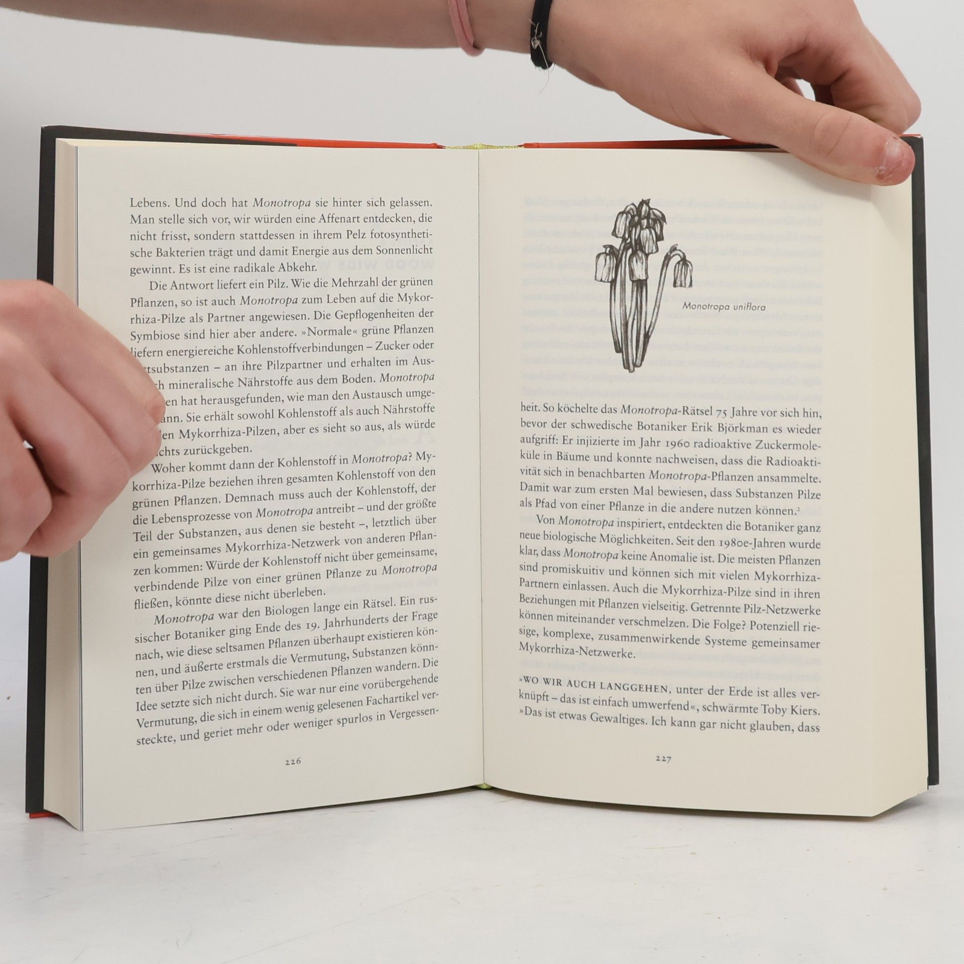 Merlin Sheldrake Verwobenes Leben