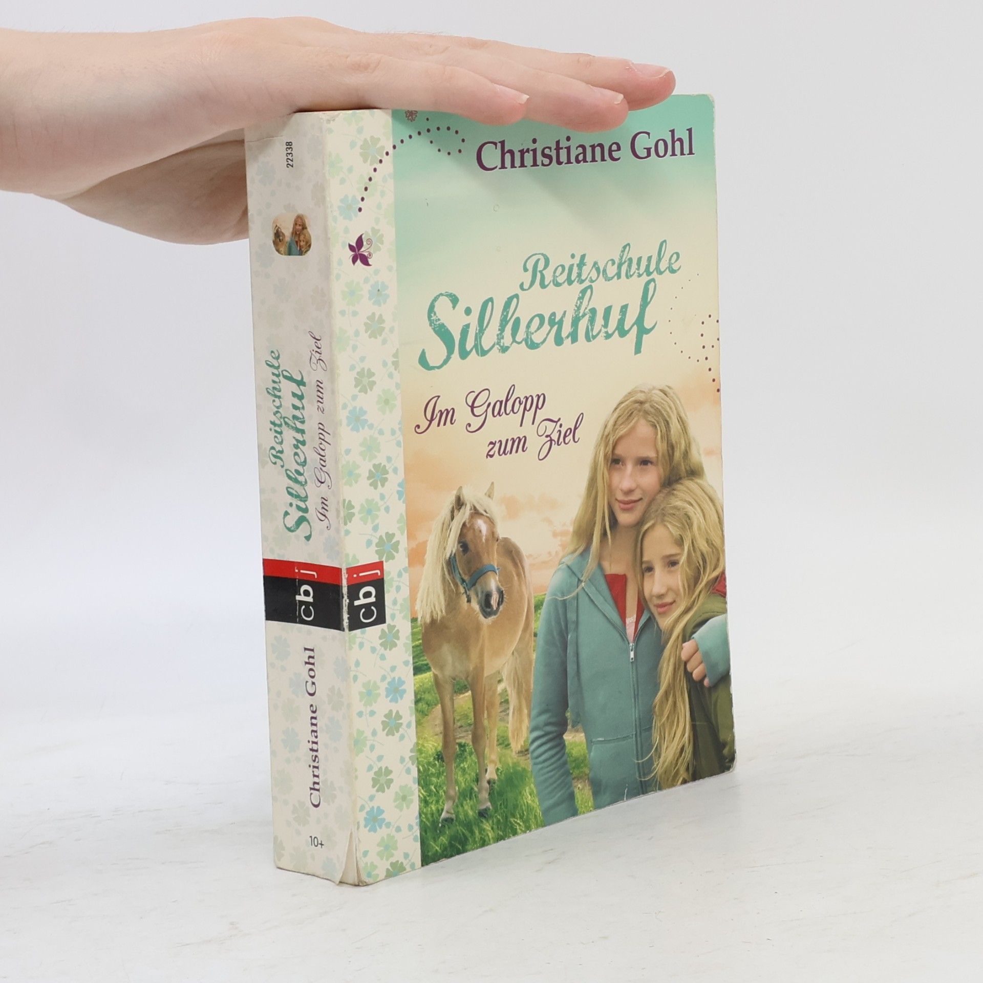 Christiane Gohl Reitschule Silberhuf - Im Galopp zum Ziel