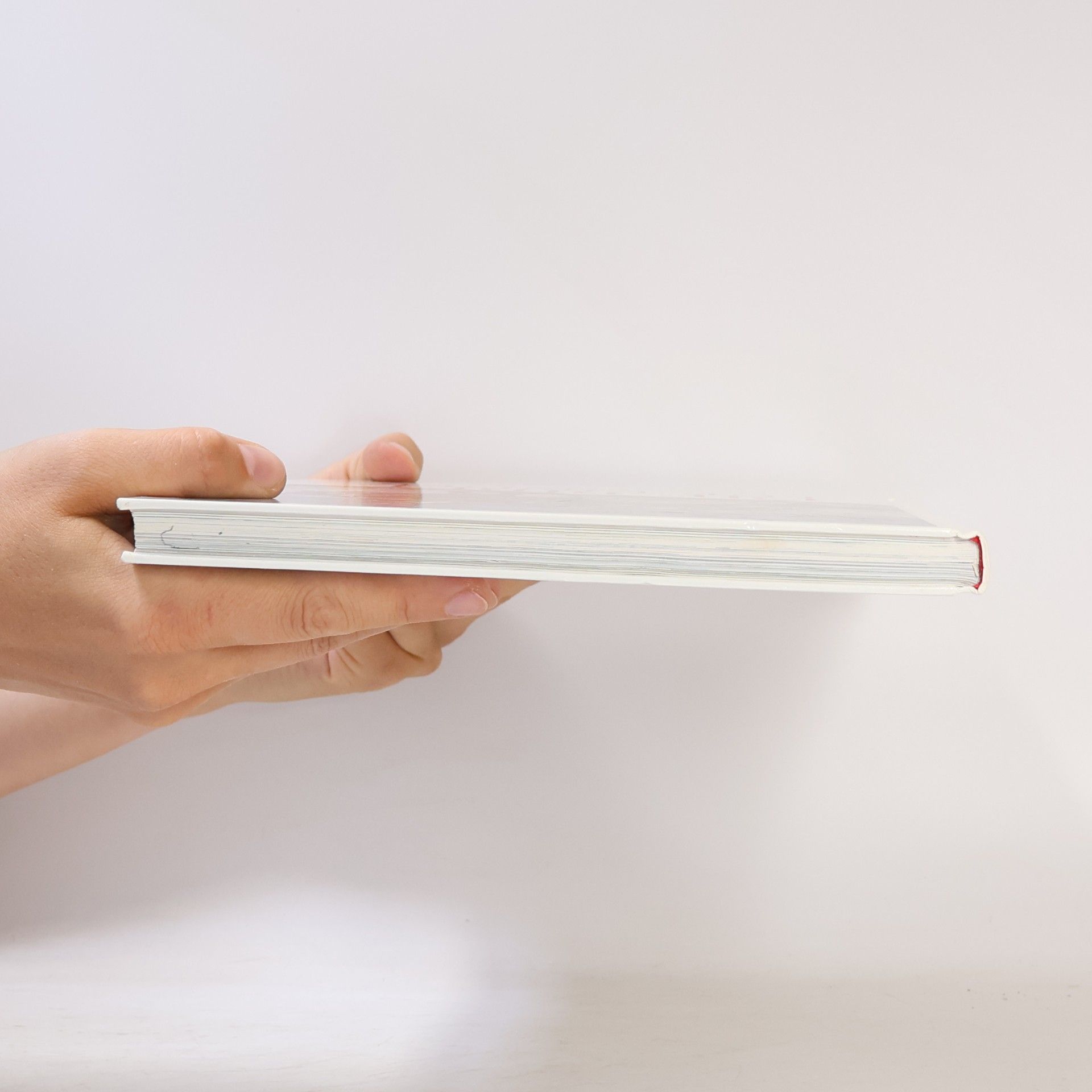 Various authors Die Bibel für Kinder