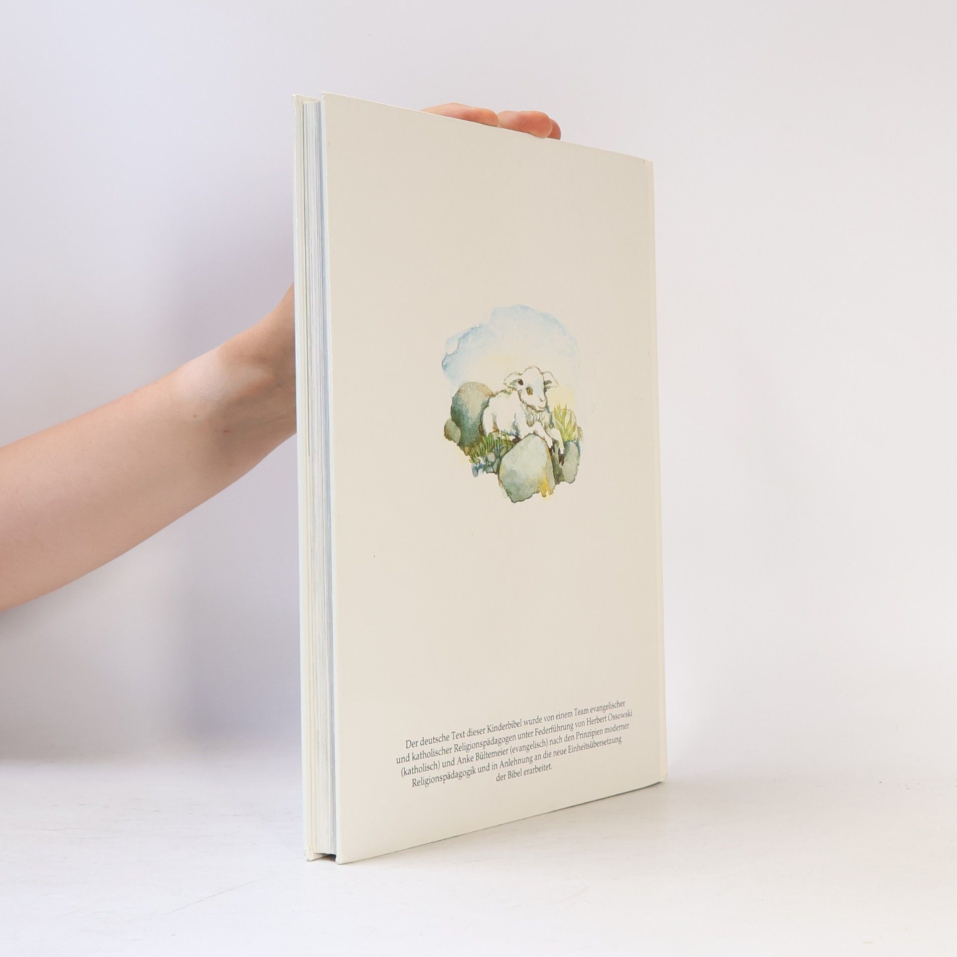 Various authors Die Bibel für Kinder