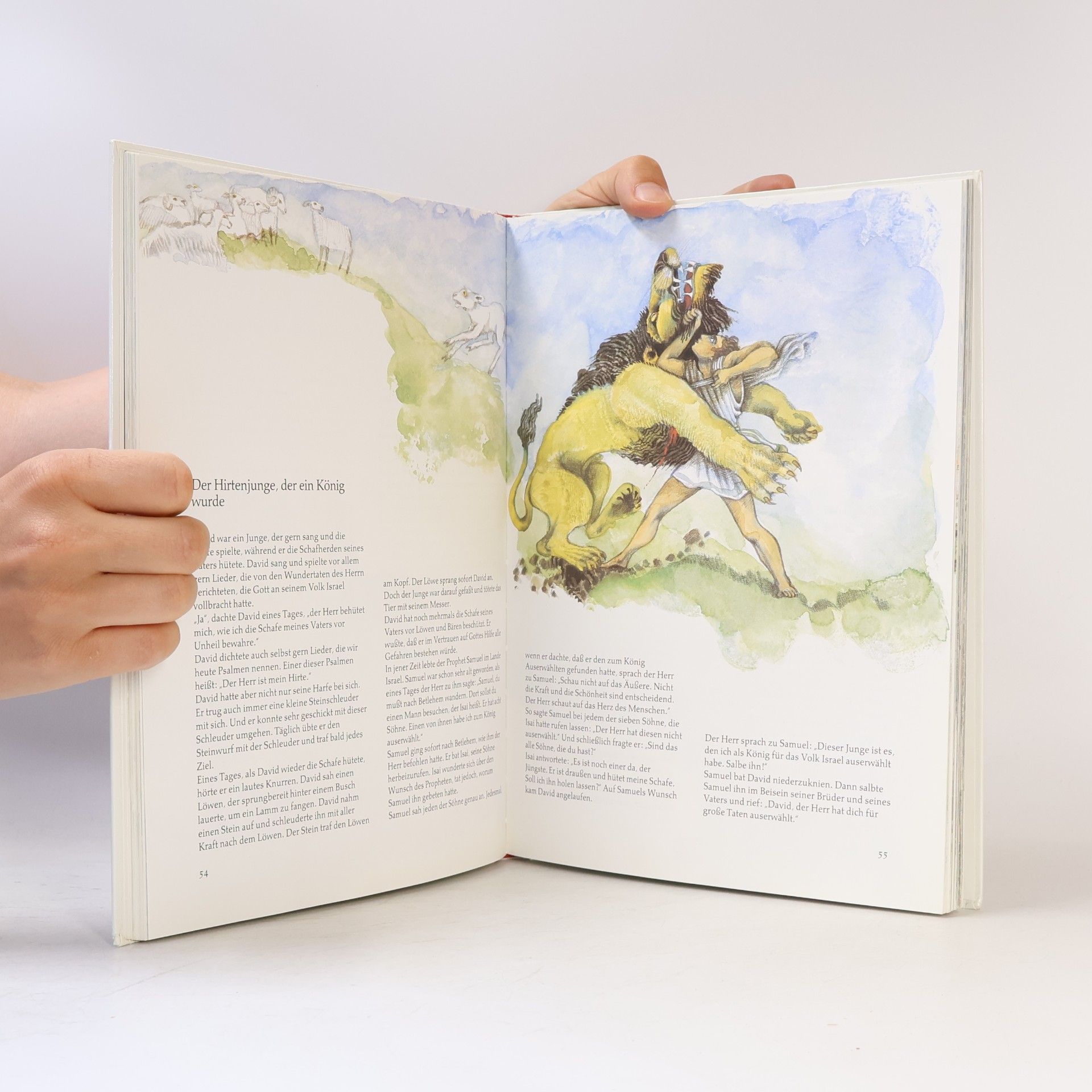 Various authors Die Bibel für Kinder
