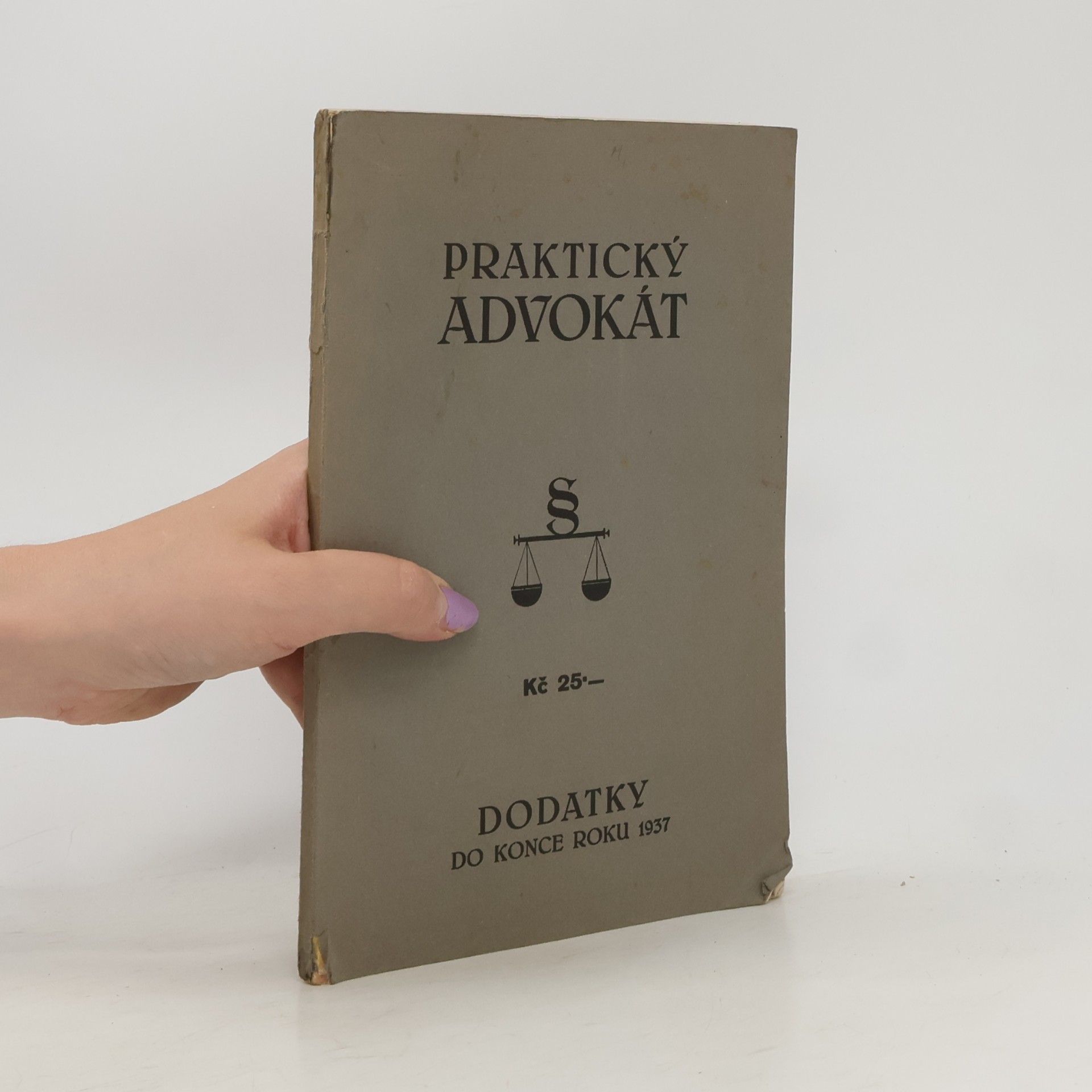 Kolektiv autorů Praktický advokát