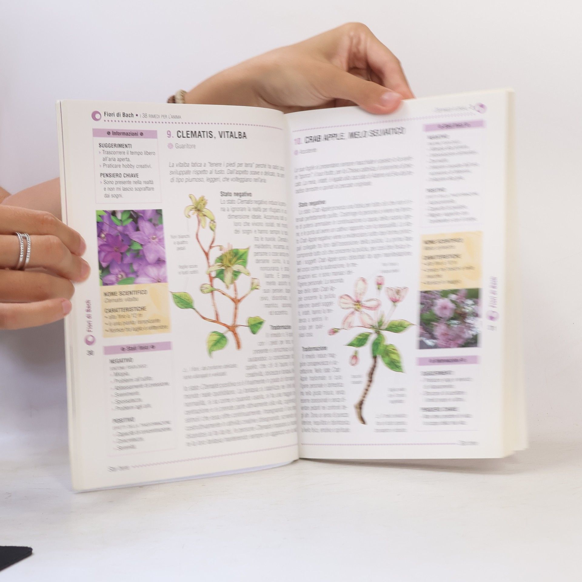 Irene Wyle Fiori di Bach e Aromaterapia