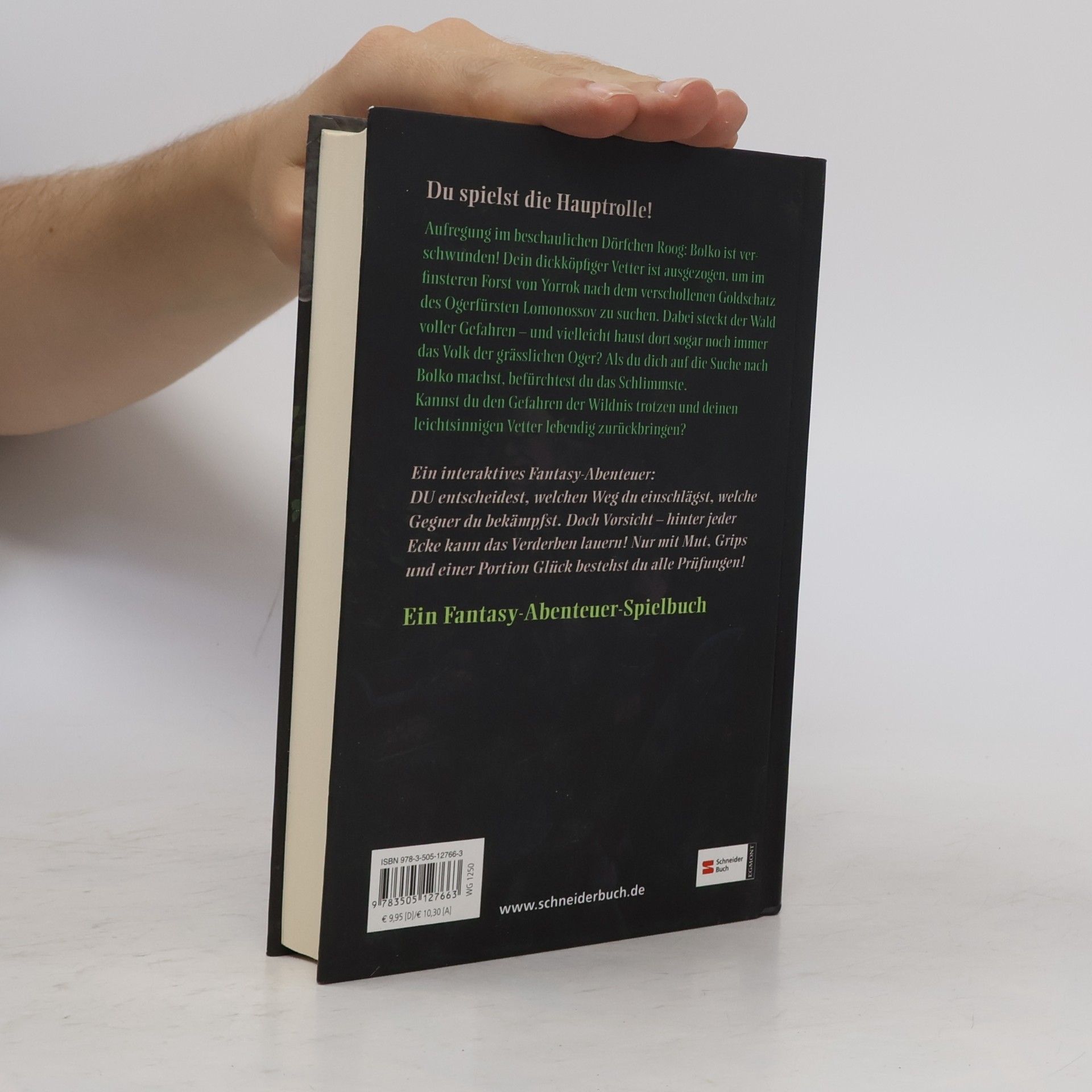 Jens Schumacher Die Welt der 1000 Abenteuer, Band 03. Der Schatz der Oger