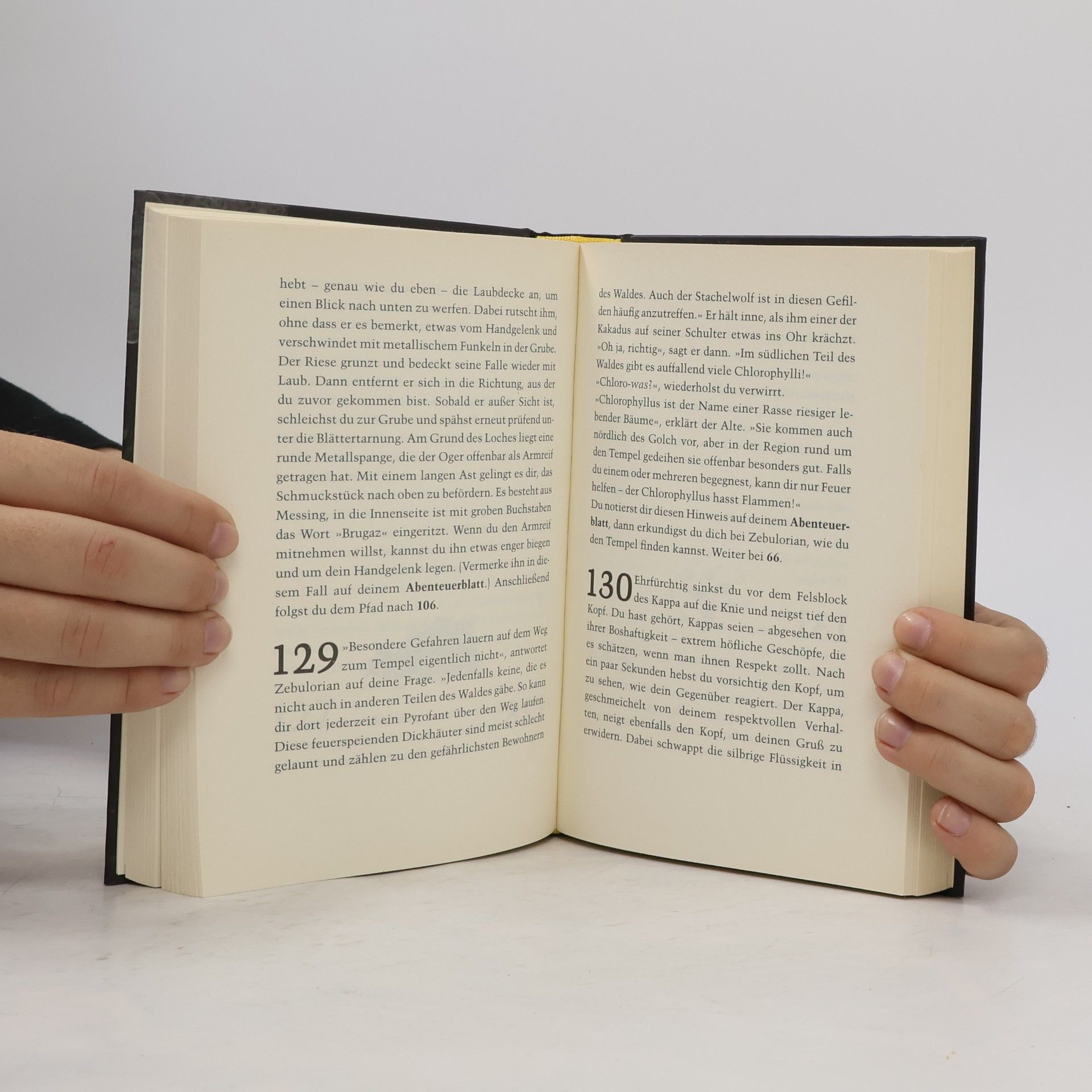 Jens Schumacher Die Welt der 1000 Abenteuer, Band 03. Der Schatz der Oger