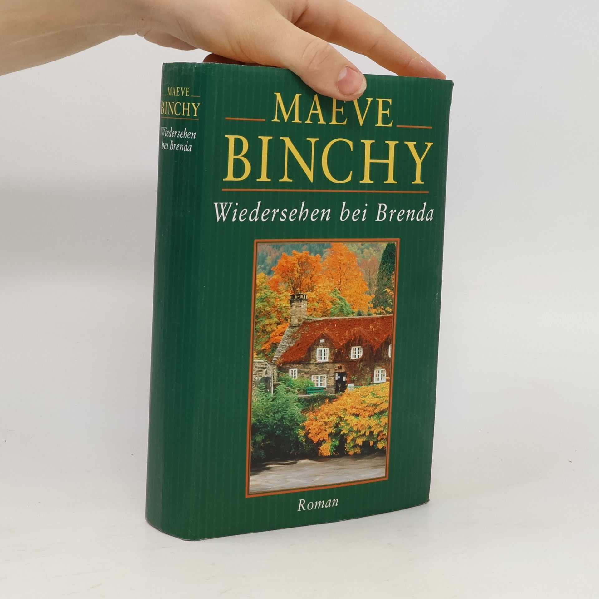 Maeve Binchy Wiedersehen bei Brenda