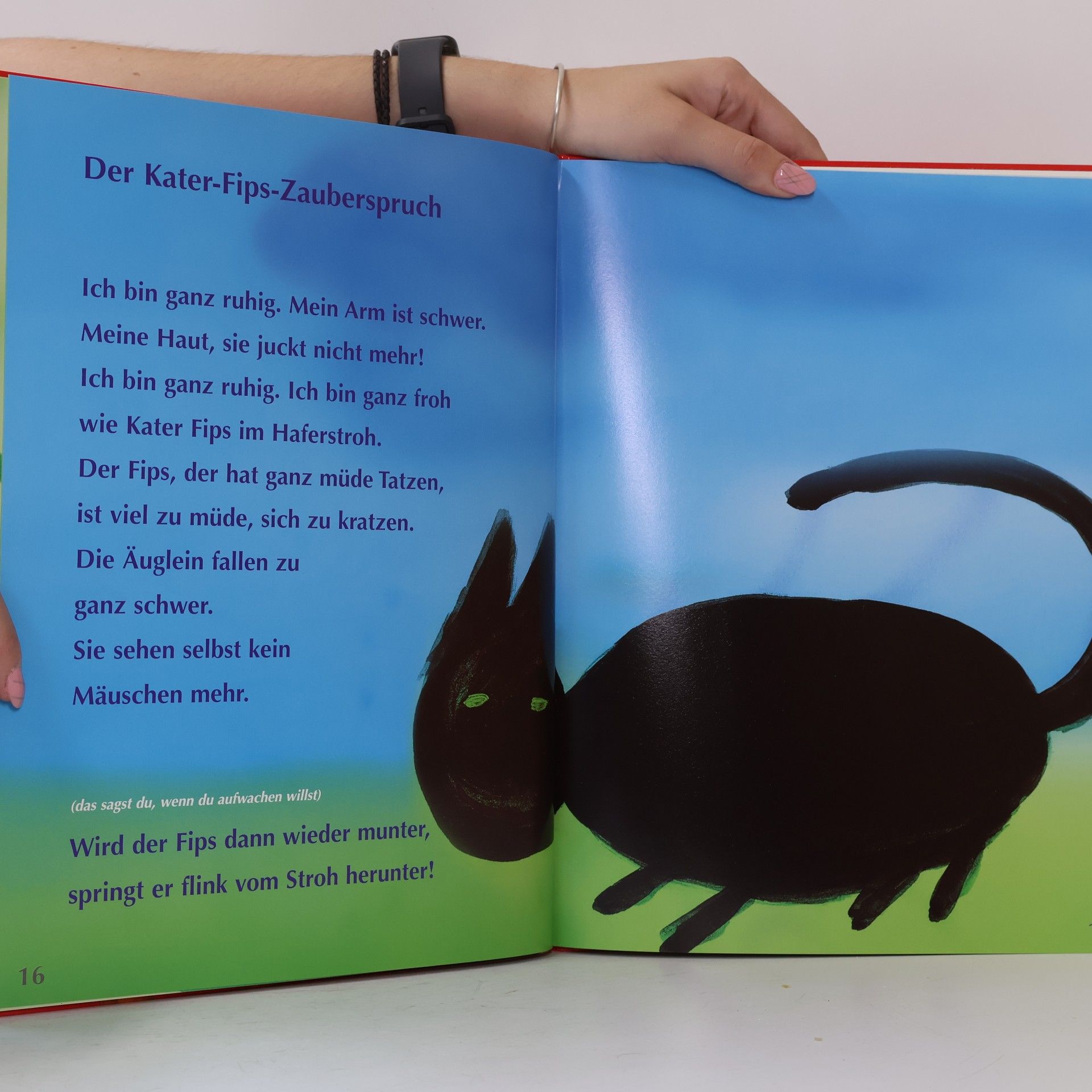 Kolektiv autorů Ich weiß was Tolles, wenn's mich juckt...!
