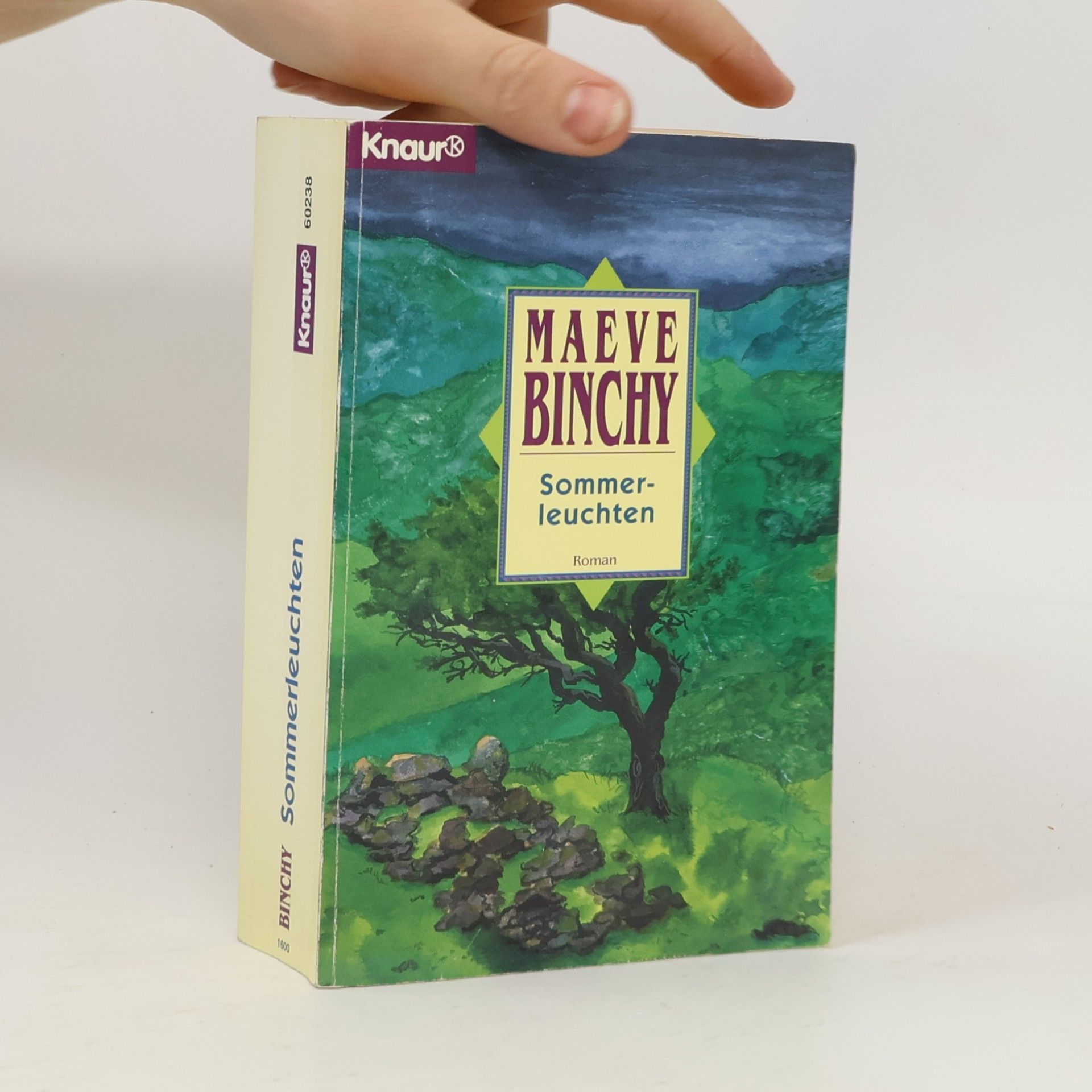 Maeve Binchy Sommerleuchten
