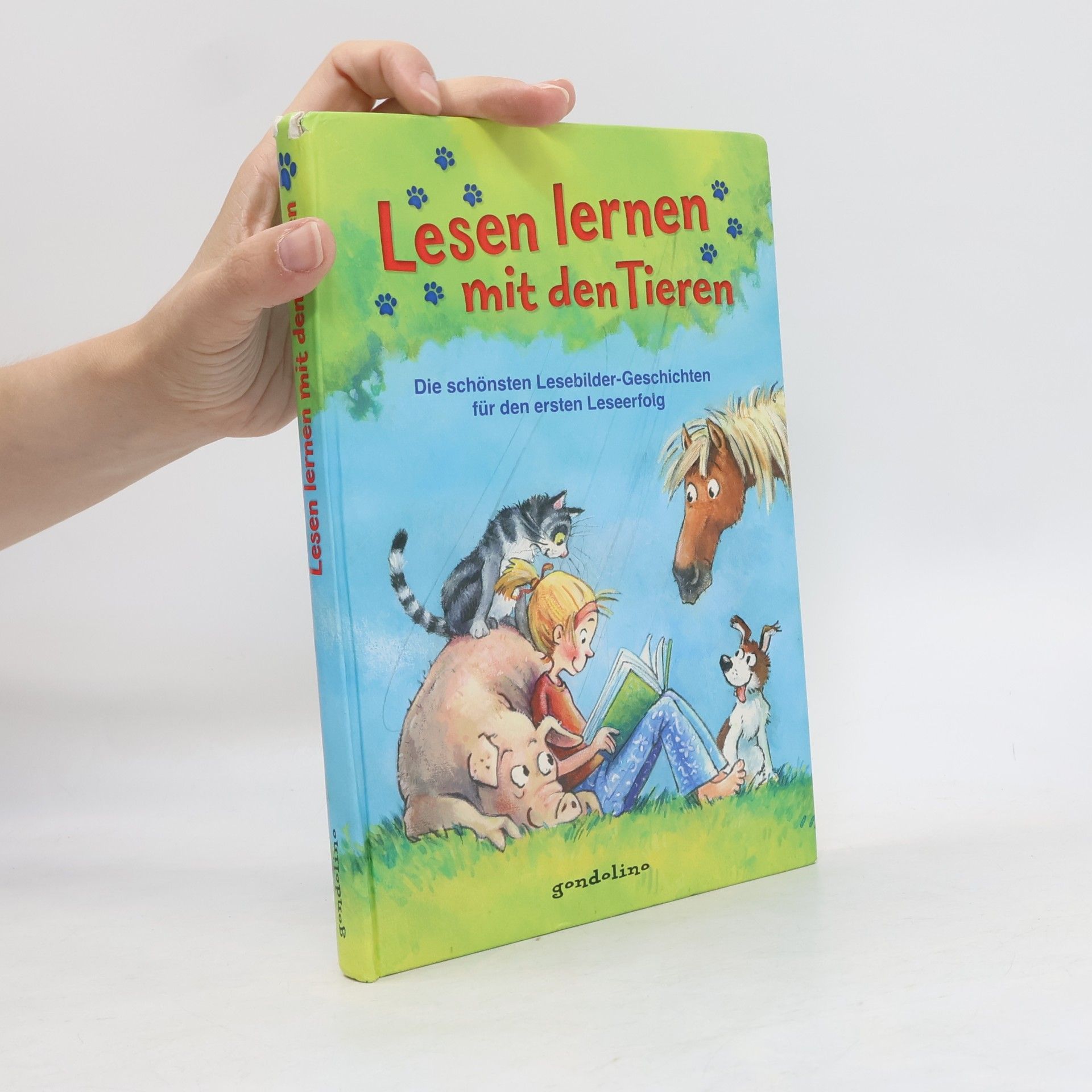 Heike Wiechmann Lesen lernen mit den Tieren