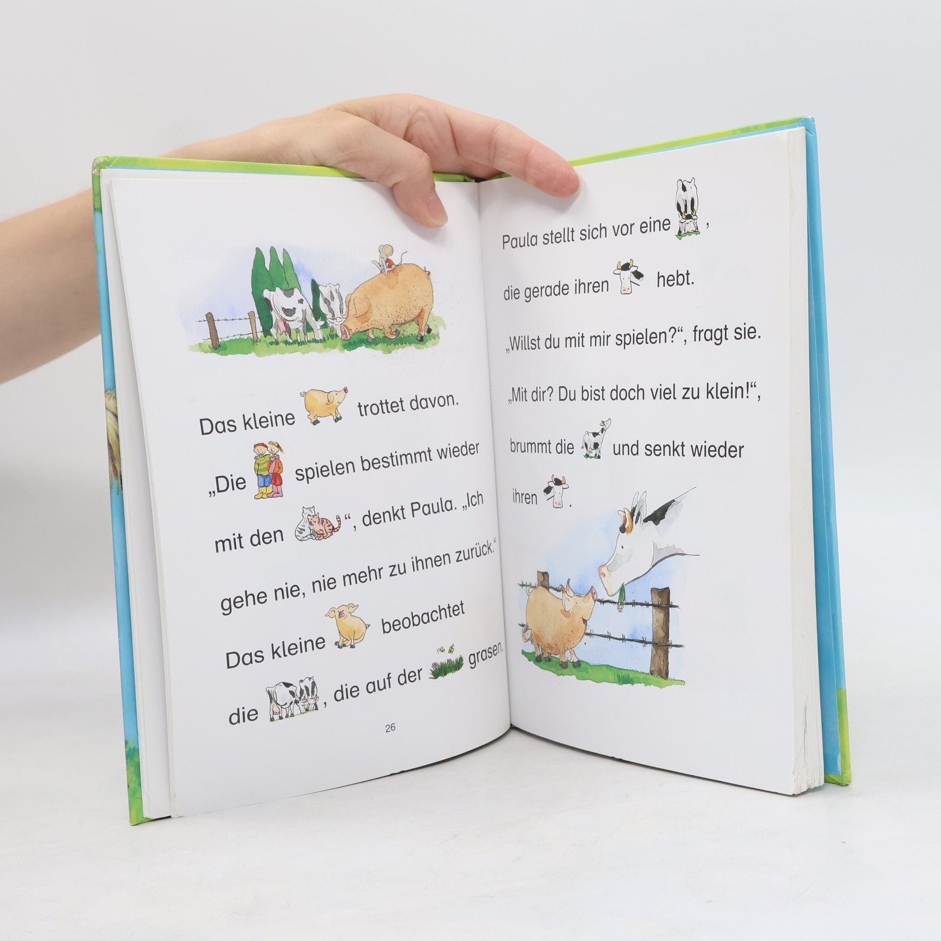 Heike Wiechmann Lesen lernen mit den Tieren