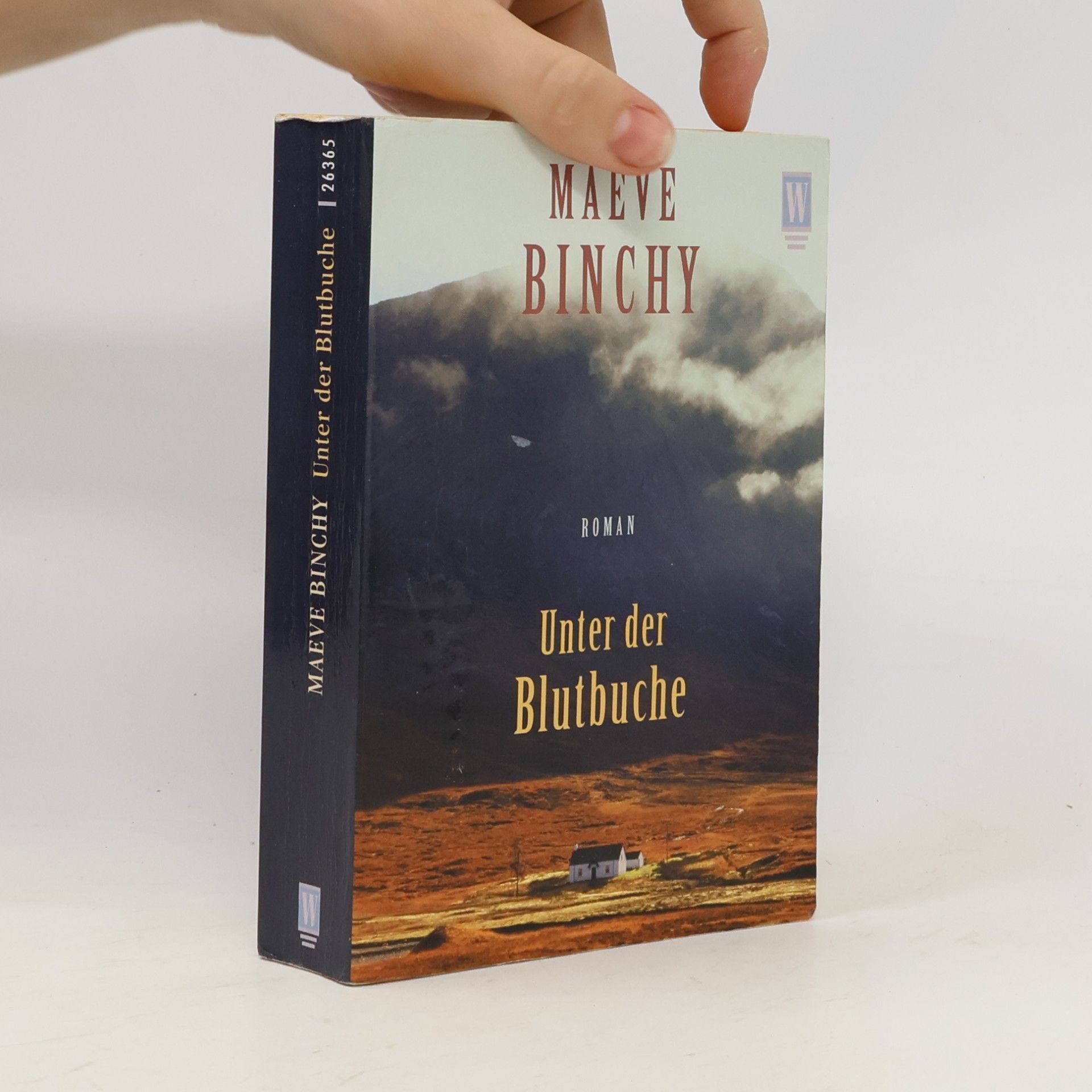 Maeve Binchy Unter der Blutbuche