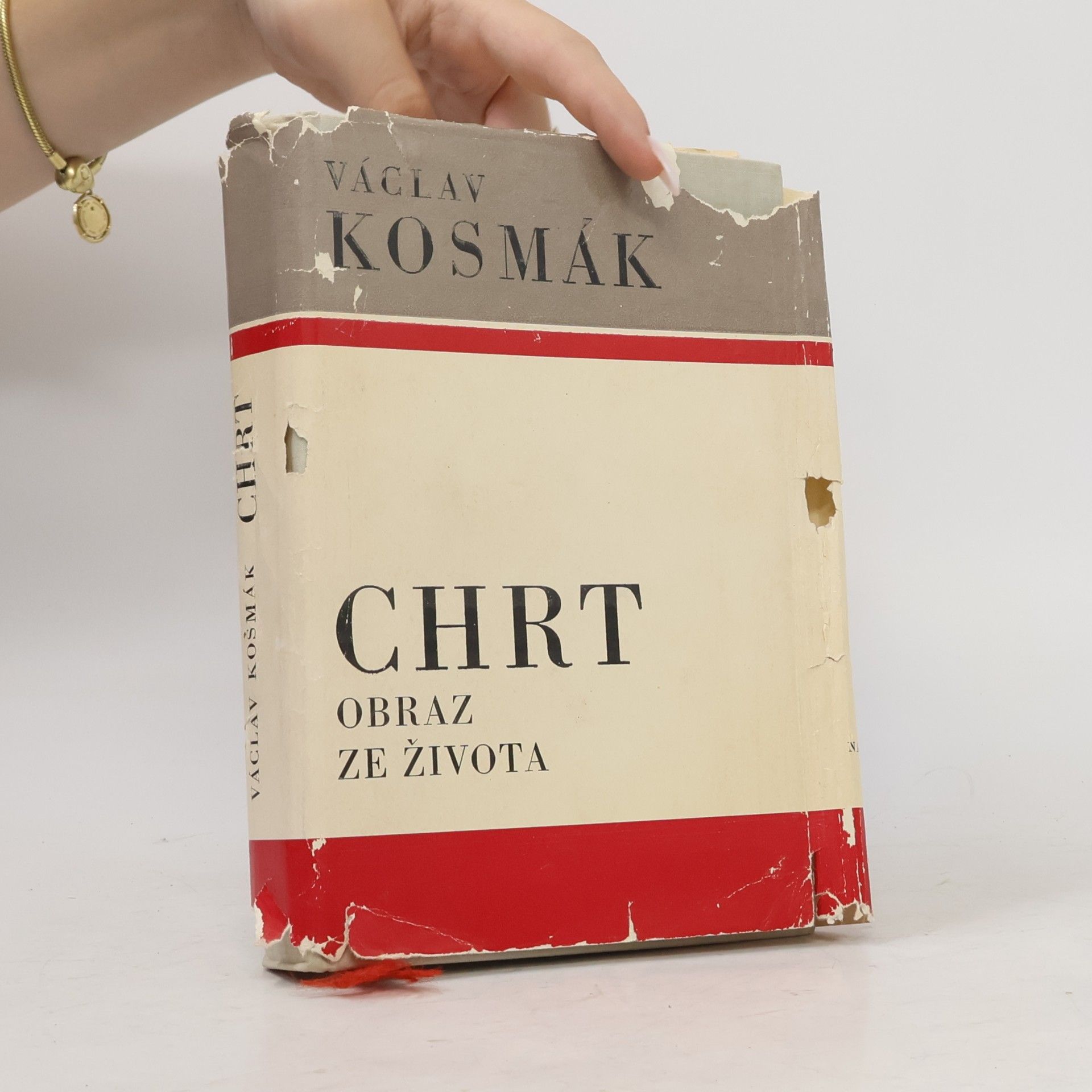 Václav Kosmák Chrt: Obraz ze života