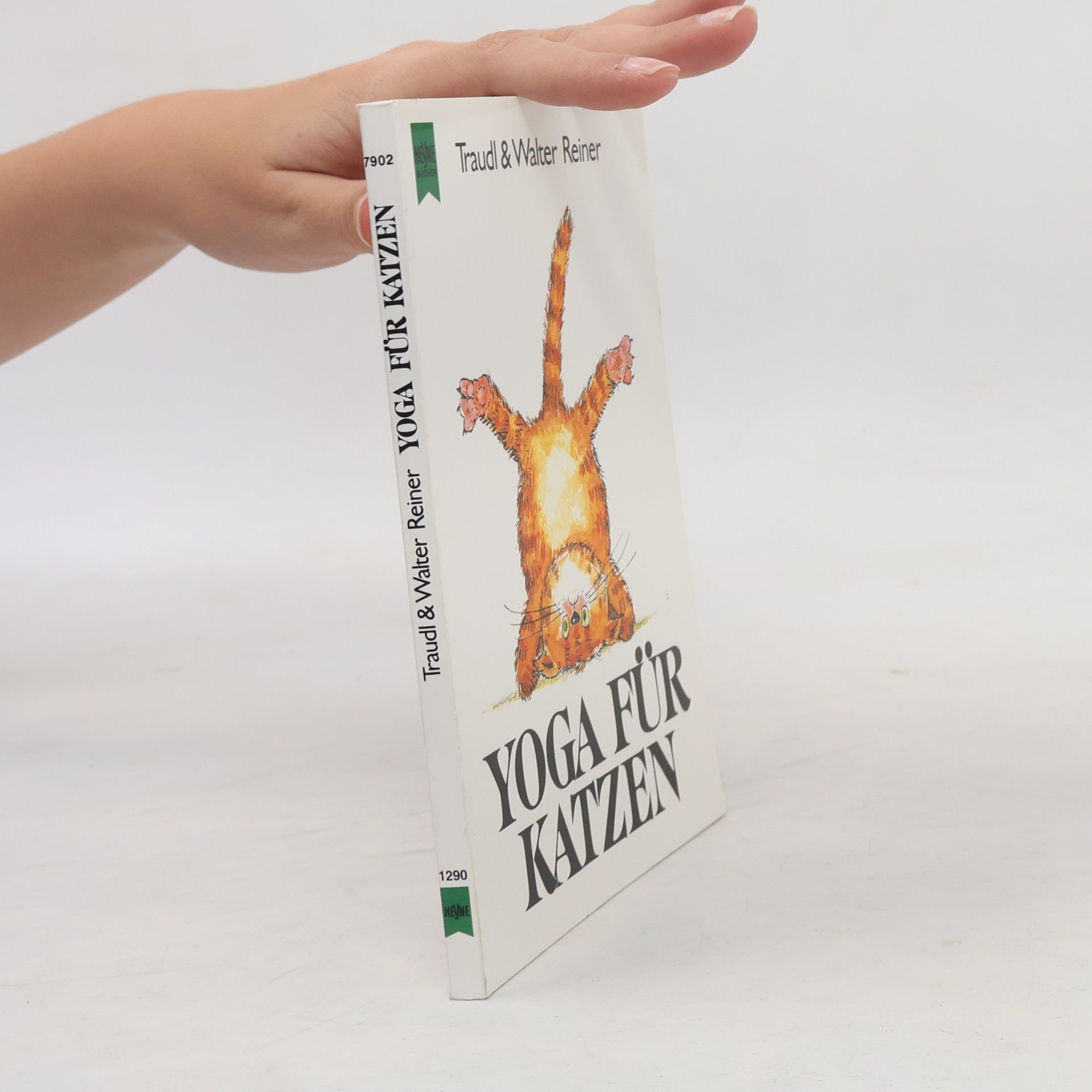 Traudl Reiner Yoga für Katzen
